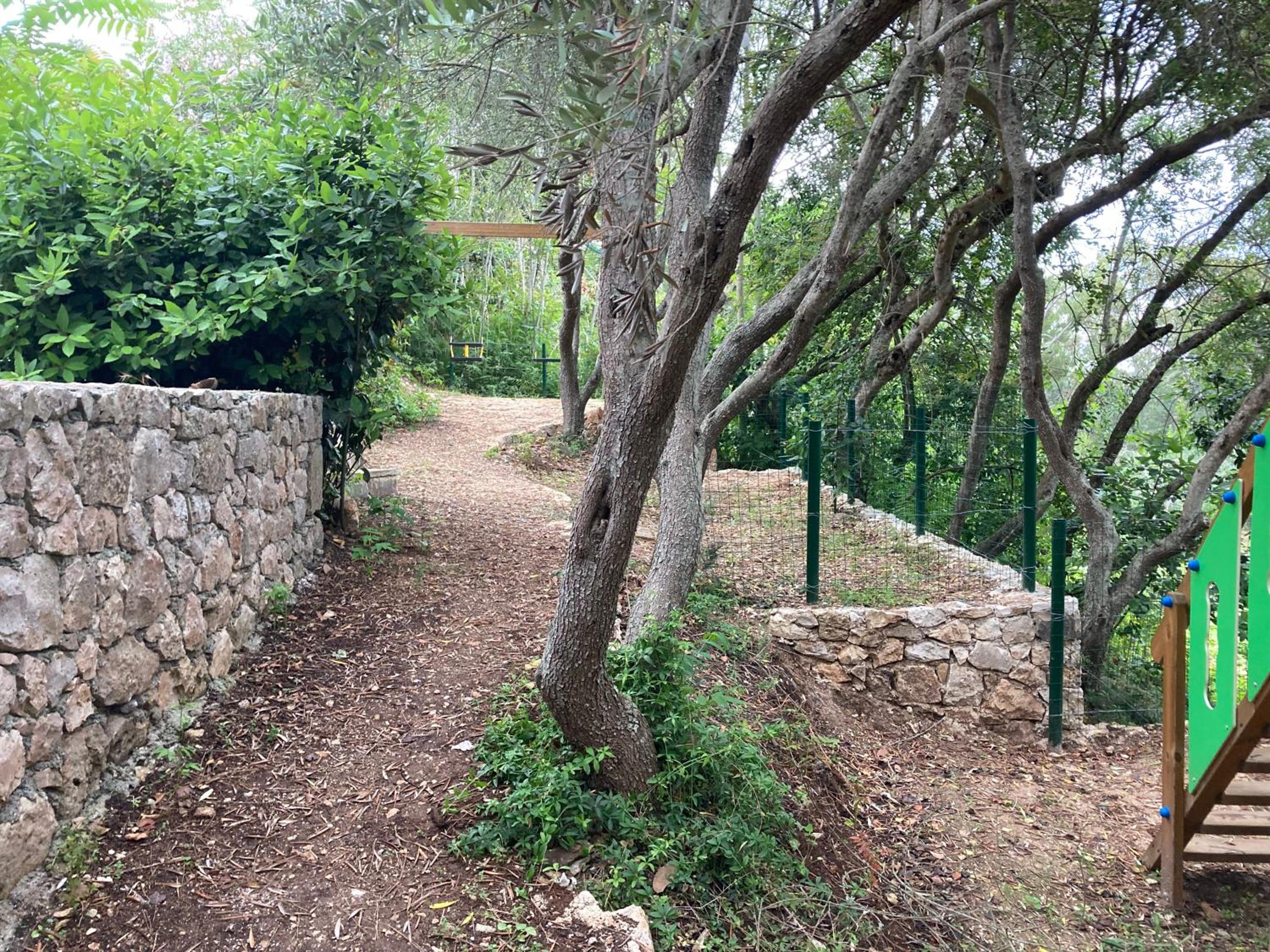 Photo 22
