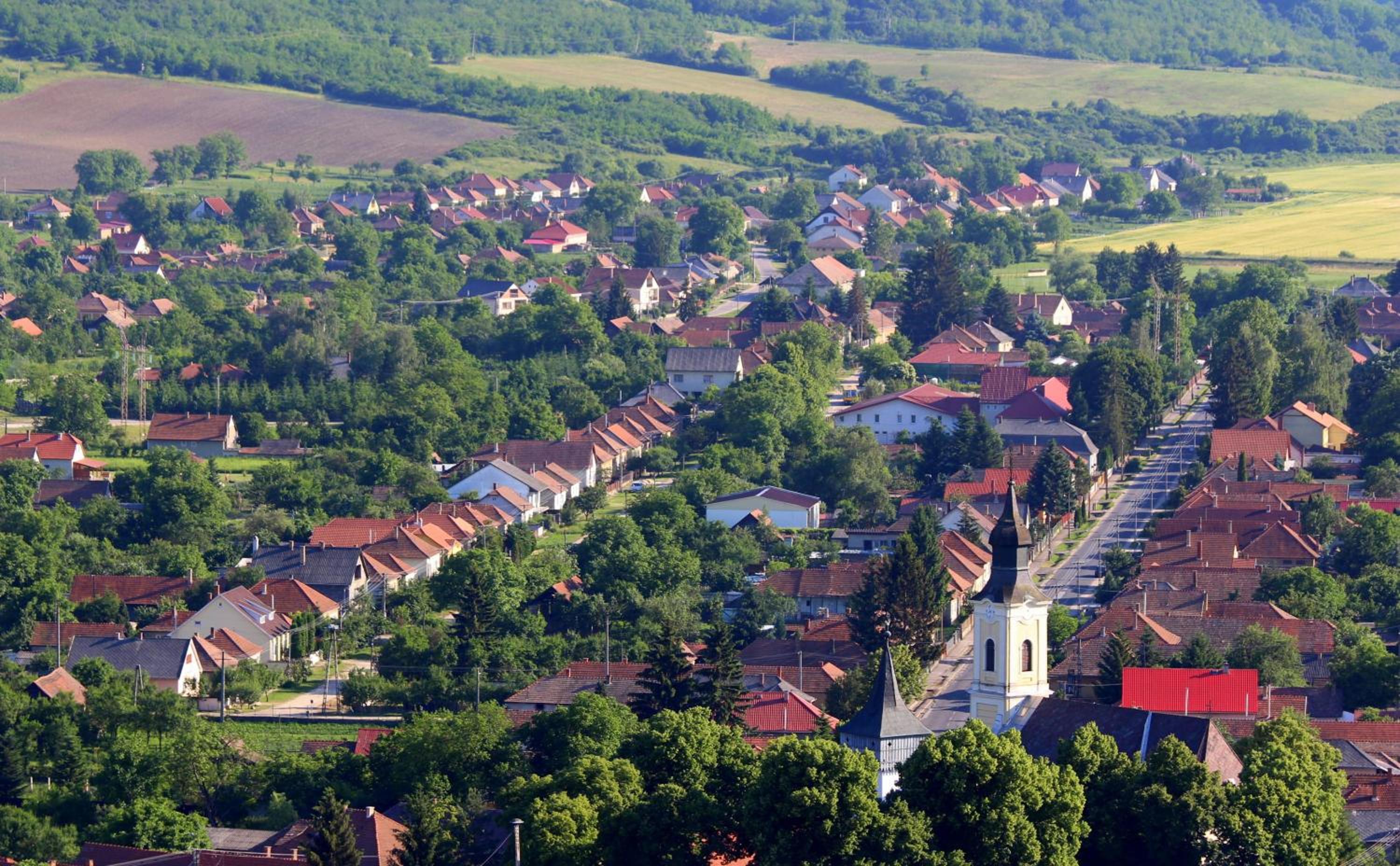 Photo 42