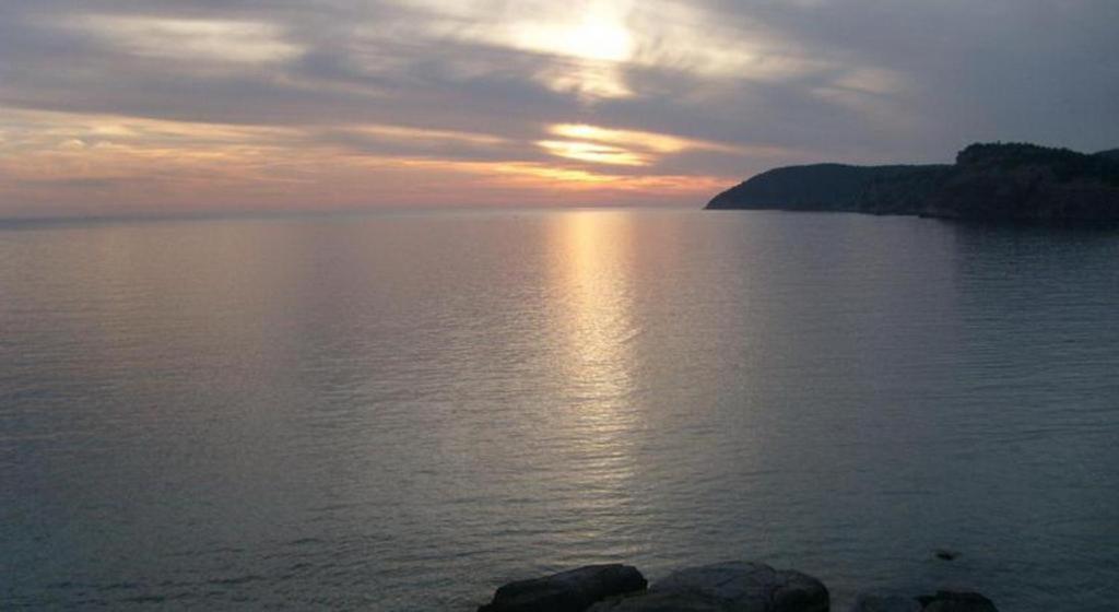Vila Bronhi view 4