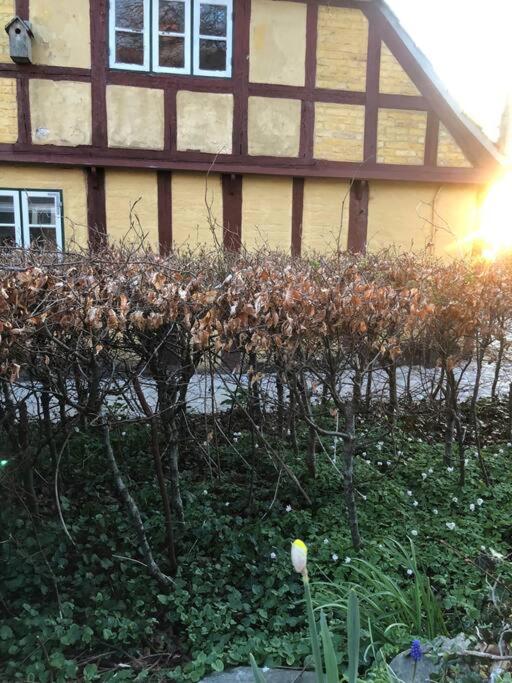 Idyllisk, historisk byhus ved fjorden i Mariager