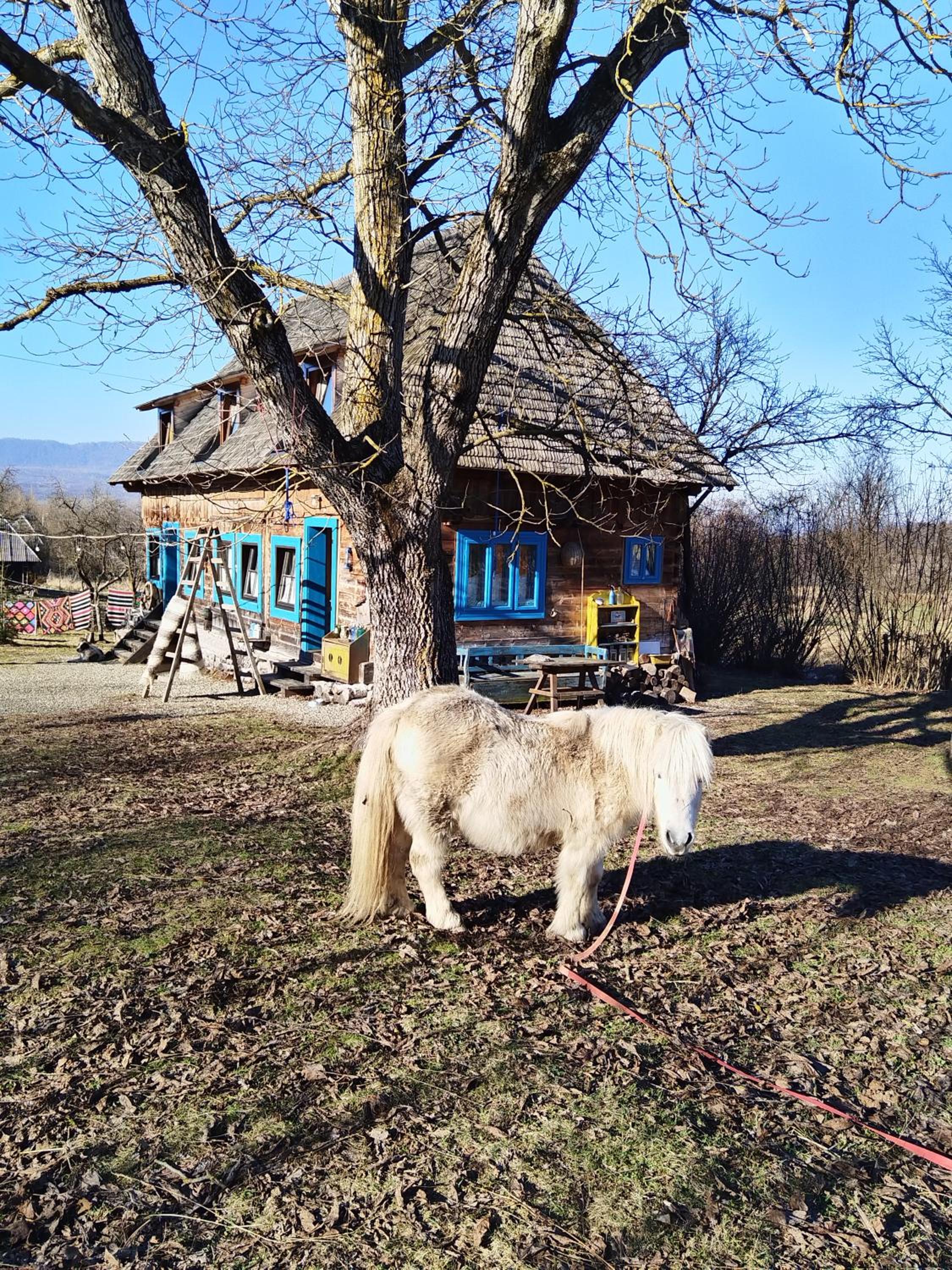 Photo 28
