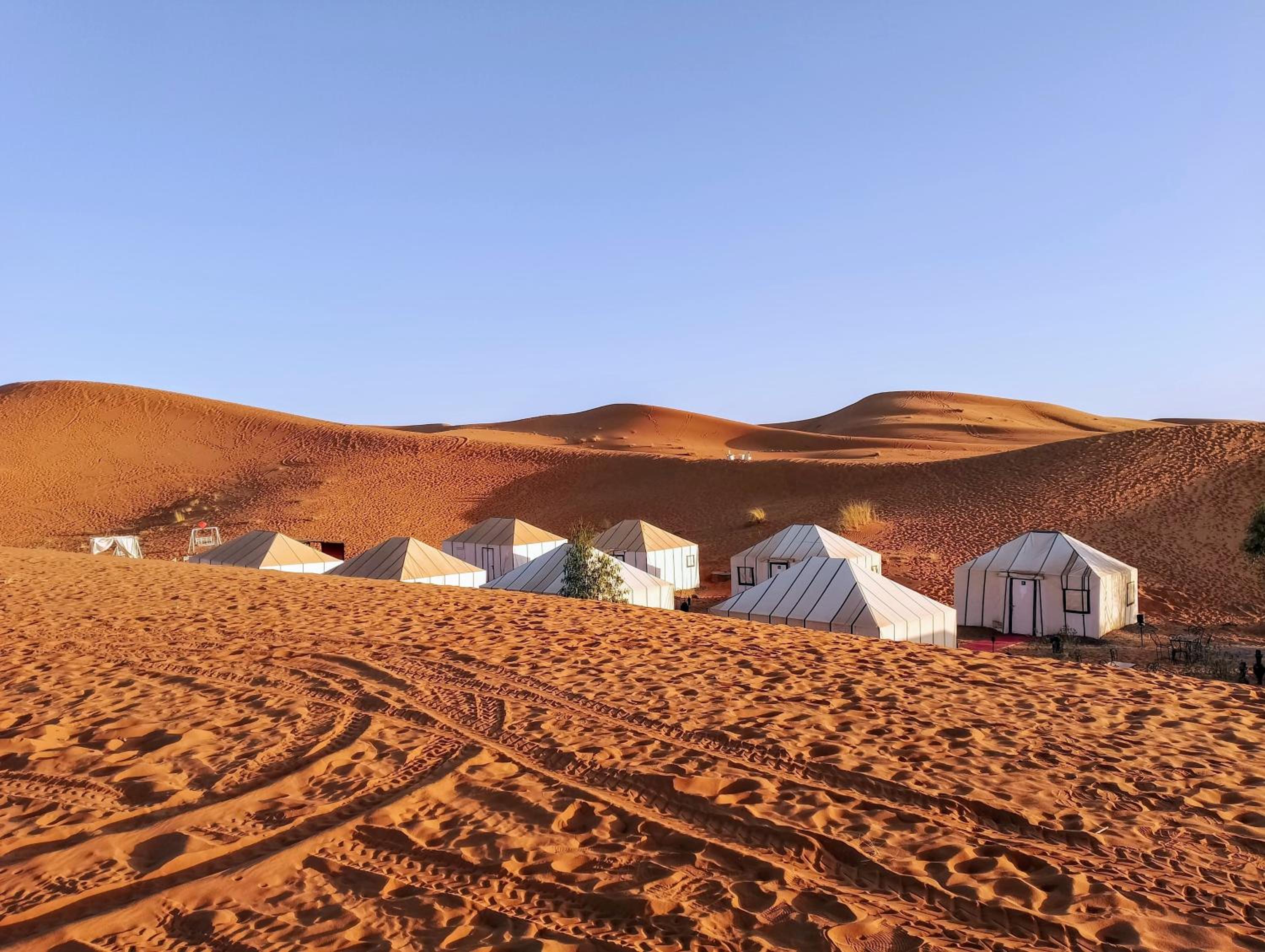 Merzouga Wildlife Desert Camp