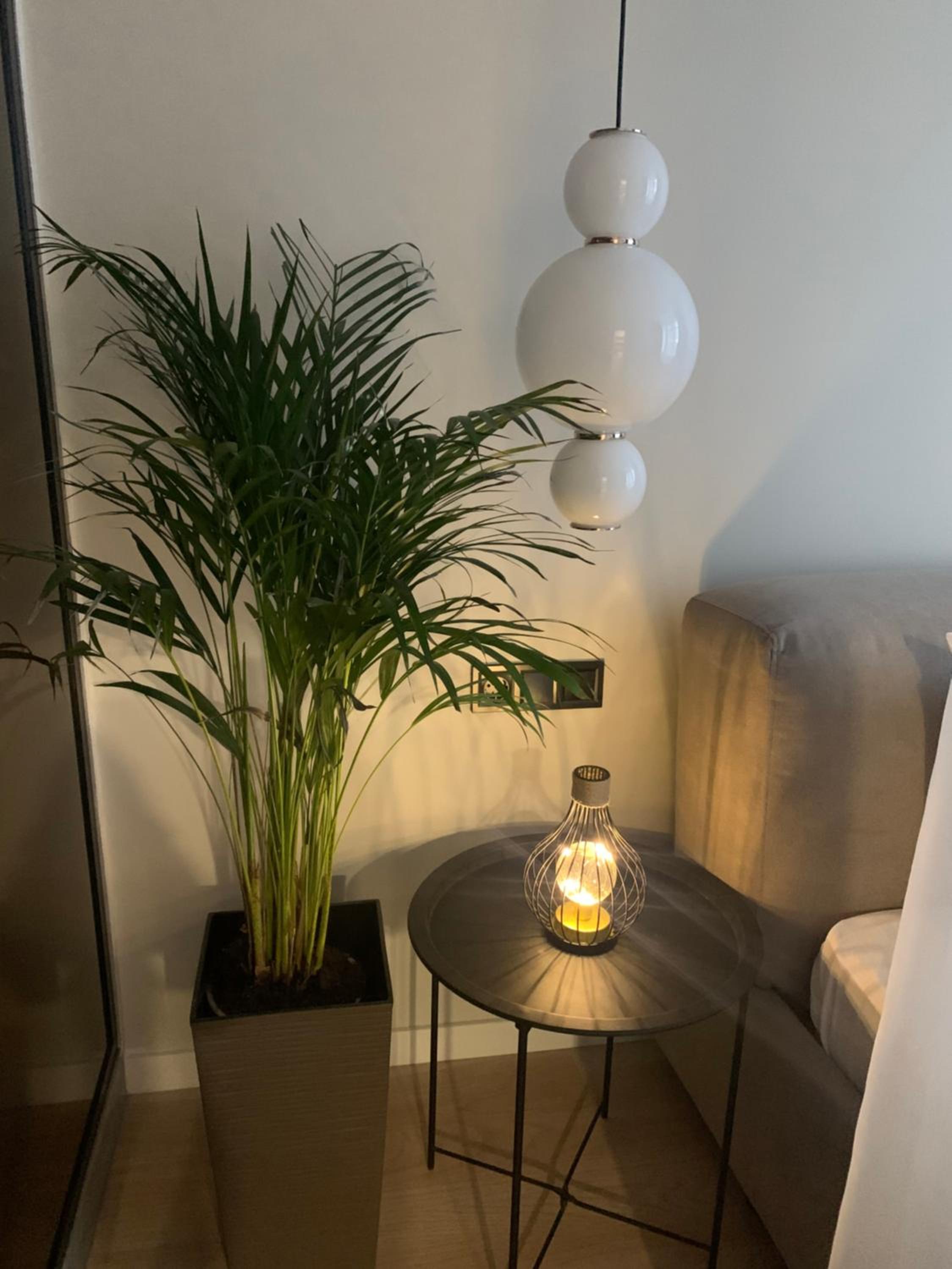 Dream Apartment