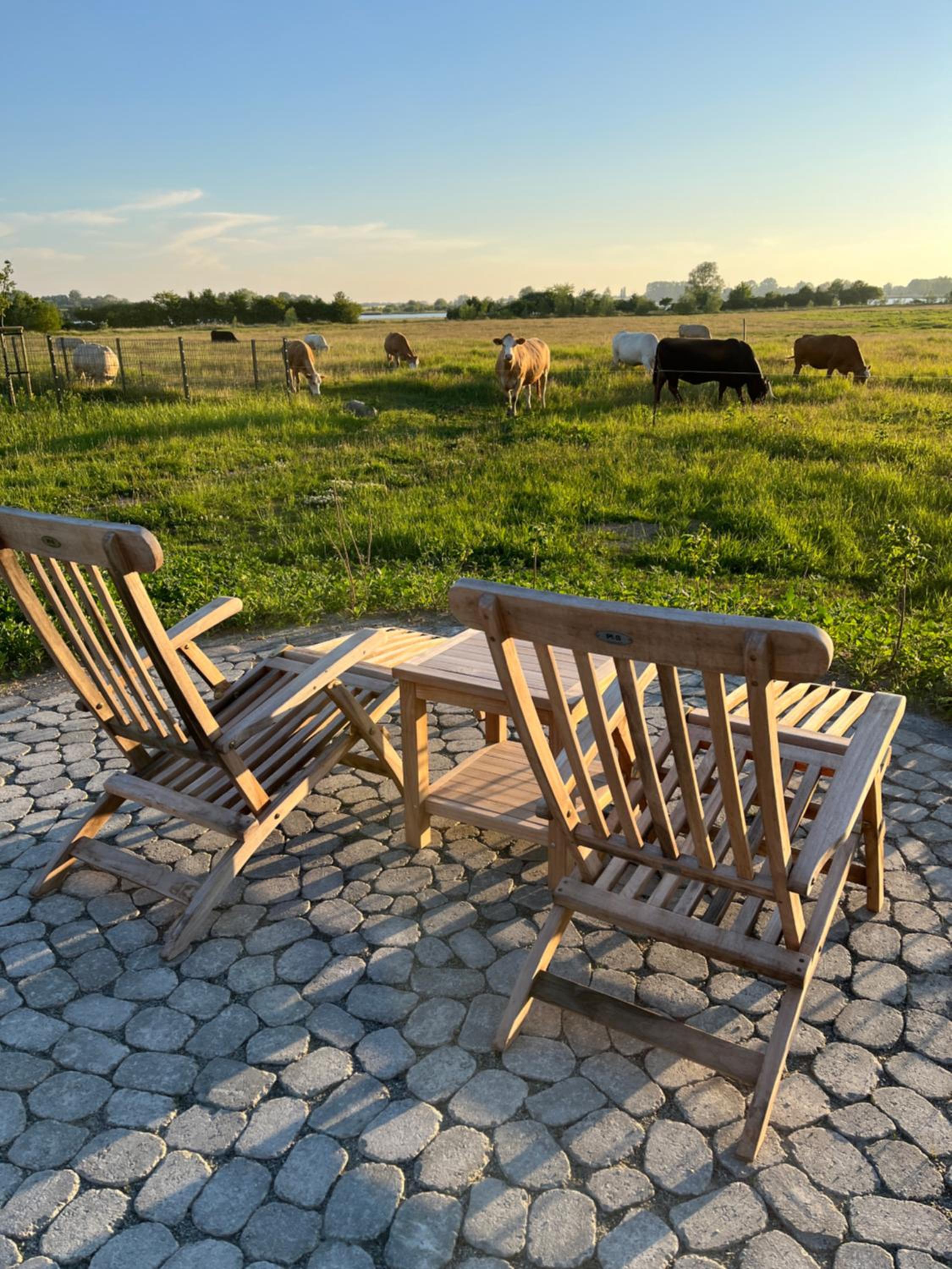 MeerZeit mit Sauna und Seeblick