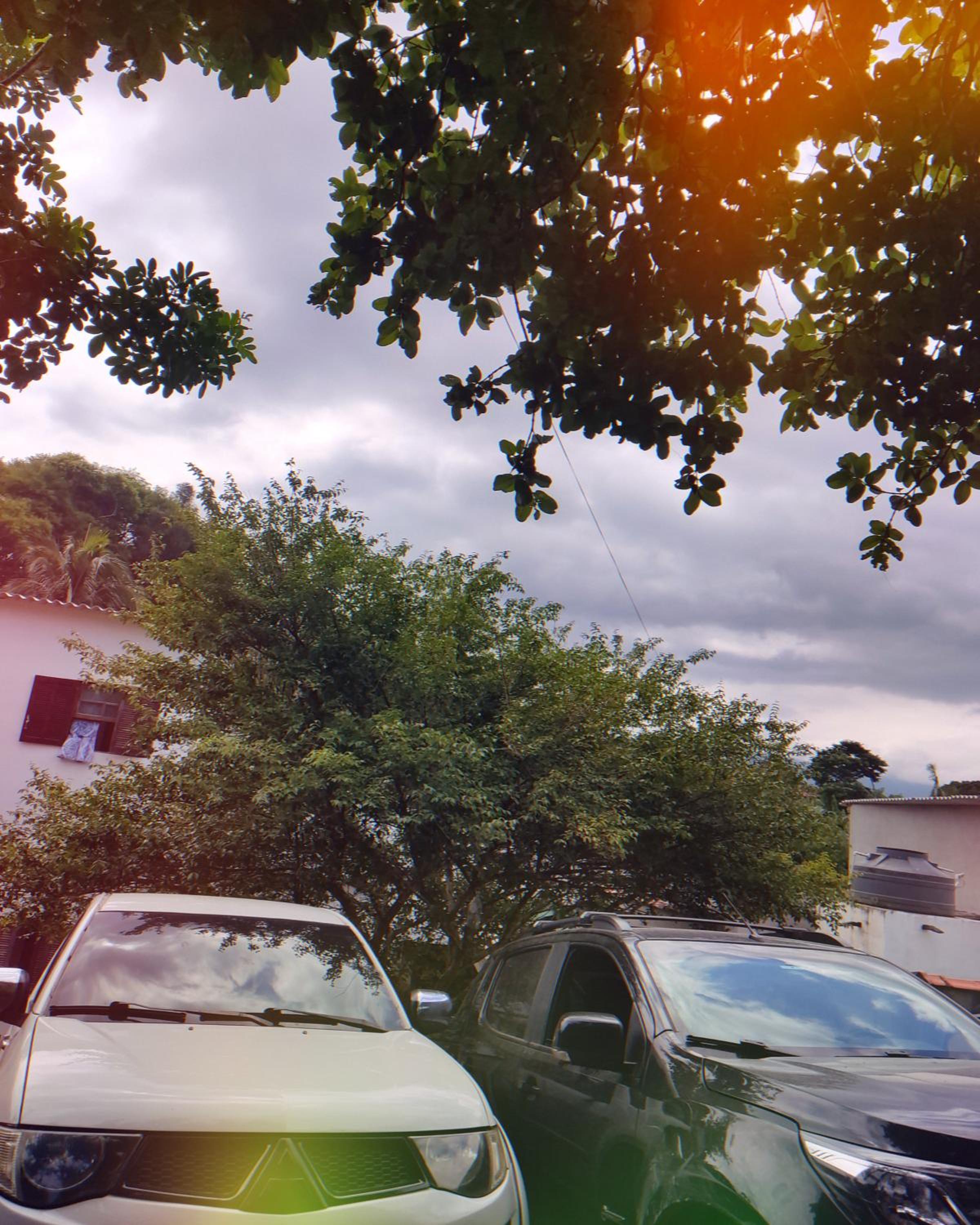 Mazz_q_casa