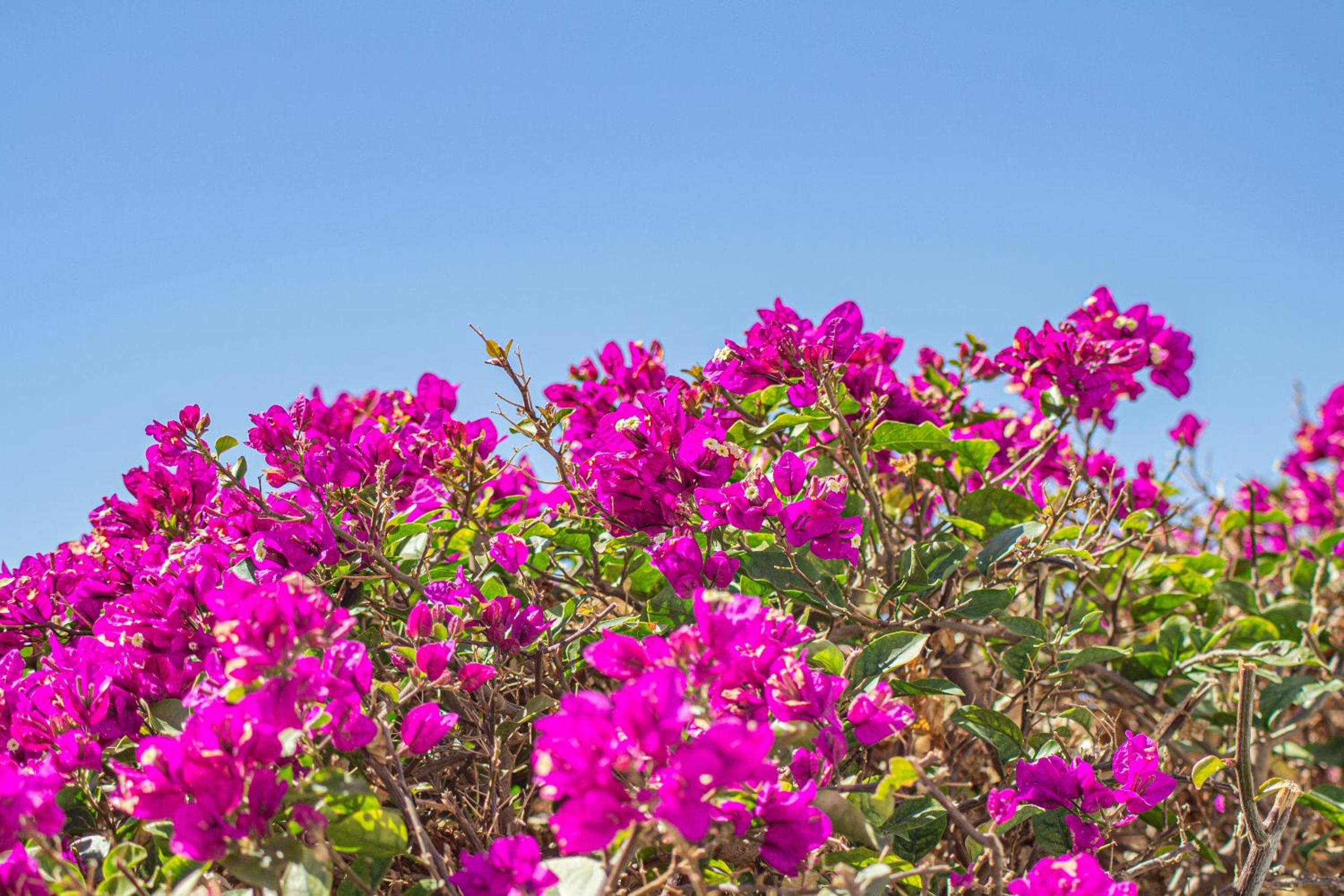 Villa Catrina - Plusholidays