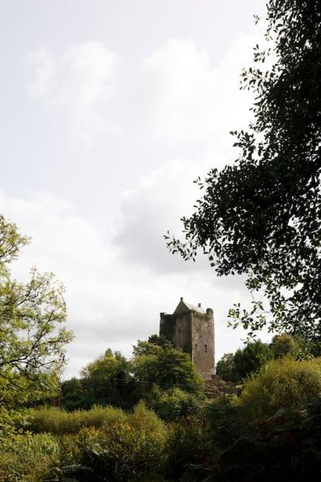 Dripsey Castle Estate