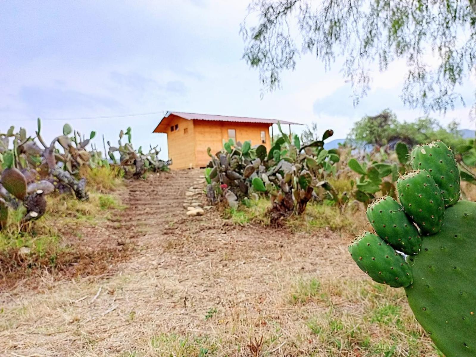 Glamping Entre Nopales - Naturaleza y descanso cerca a Villa de Leyva, mascotas bienvenidas