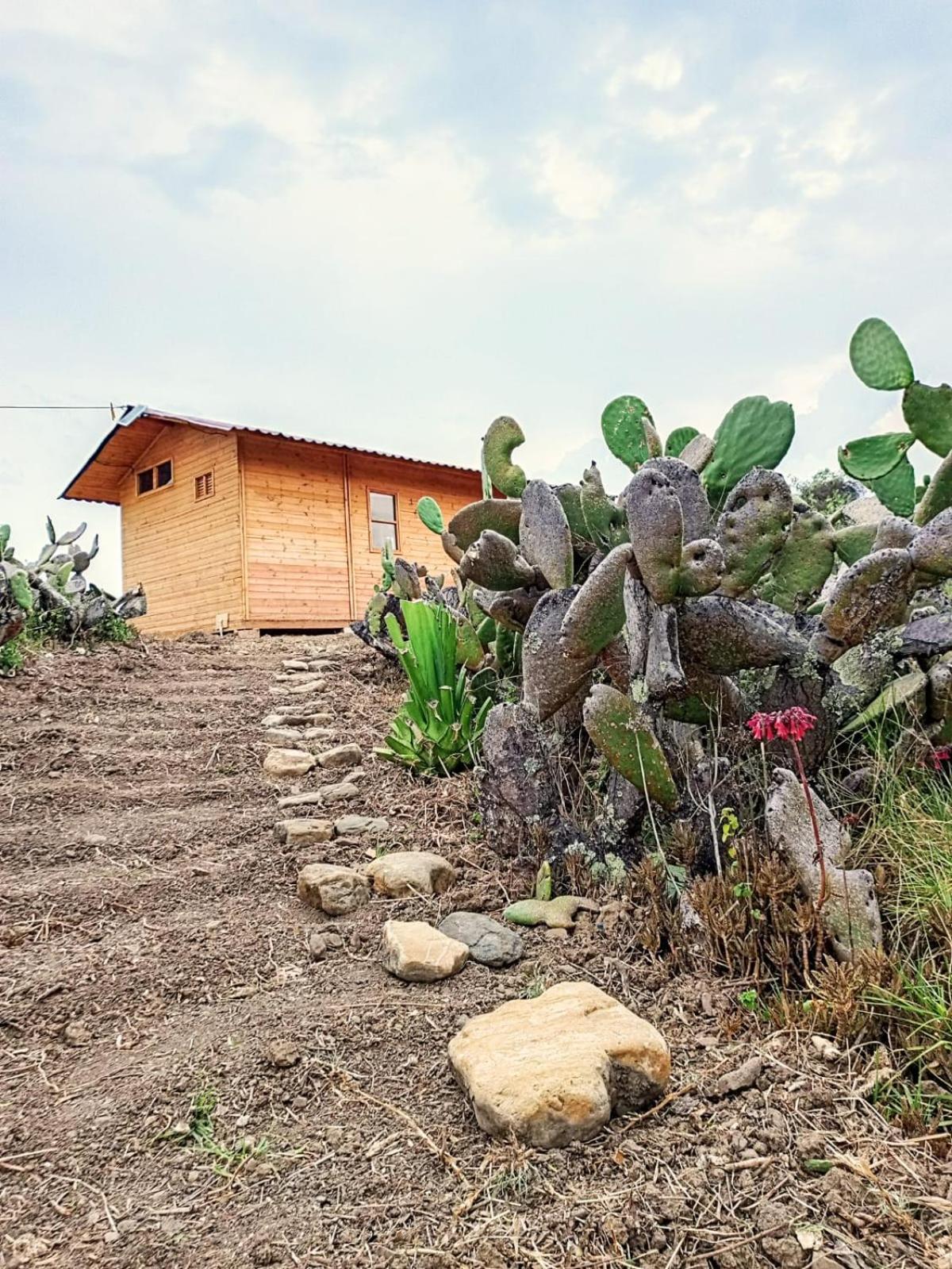 Glamping Entre Nopales - Naturaleza y descanso cerca a Villa de Leyva, mascotas bienvenidas