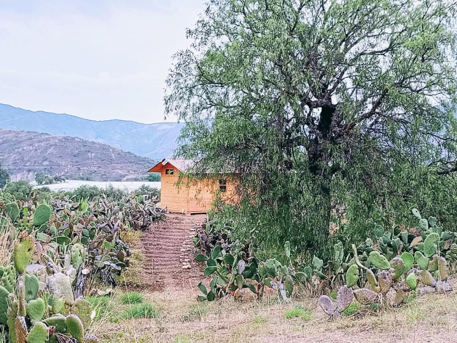 Glamping Entre Nopales - Naturaleza y descanso cerca a Villa de Leyva, mascotas bienvenidas