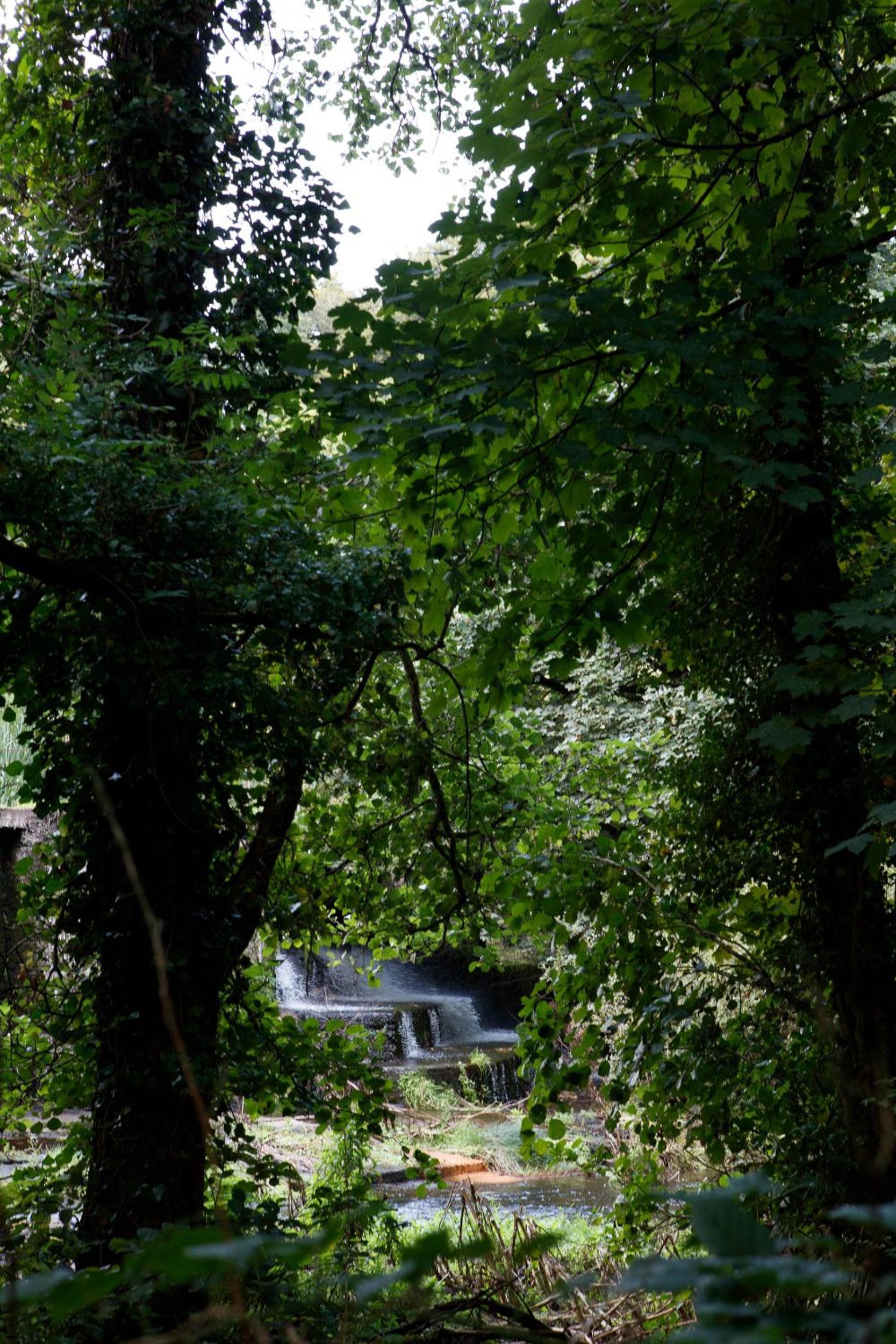 Dripsey Castle Estate