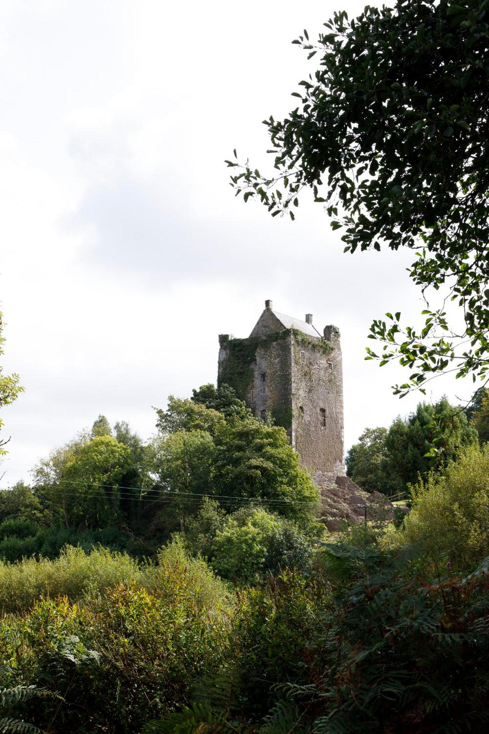 Dripsey Castle Estate
