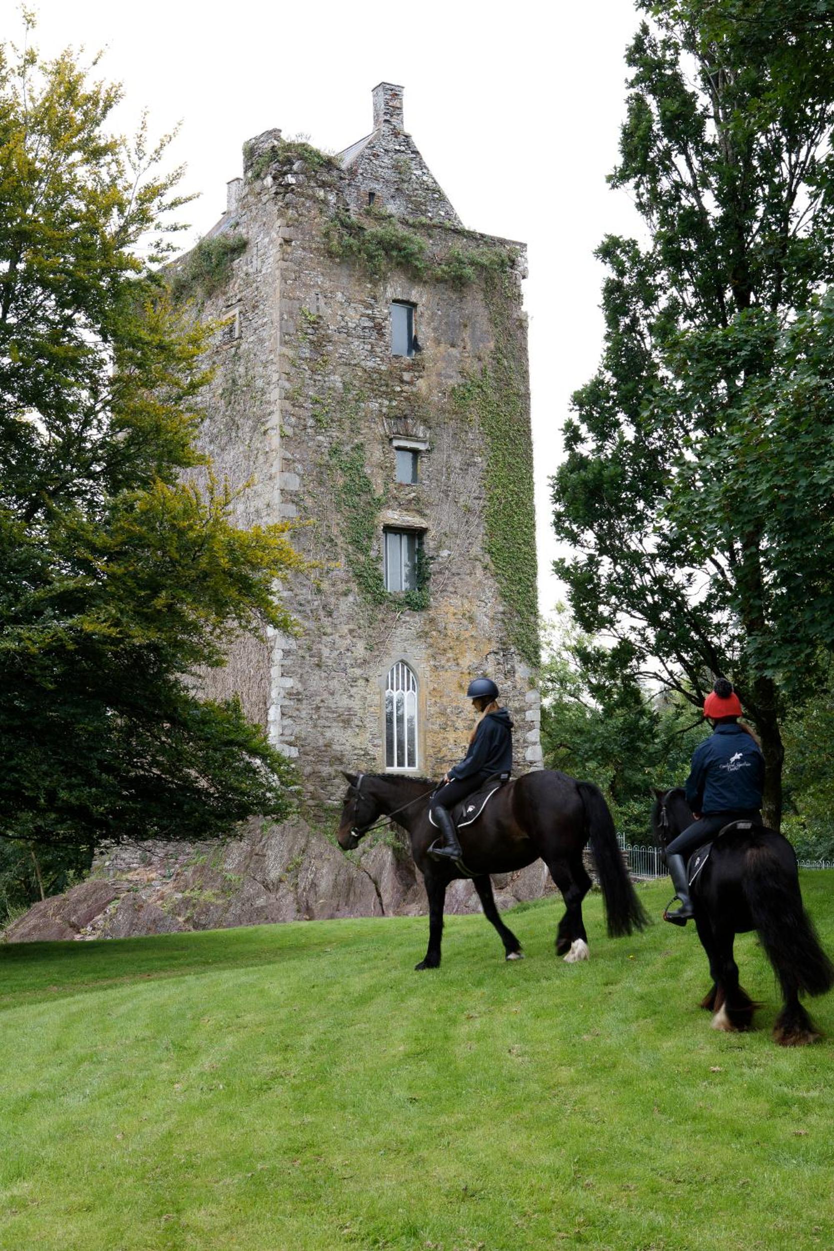 Dripsey Castle Estate