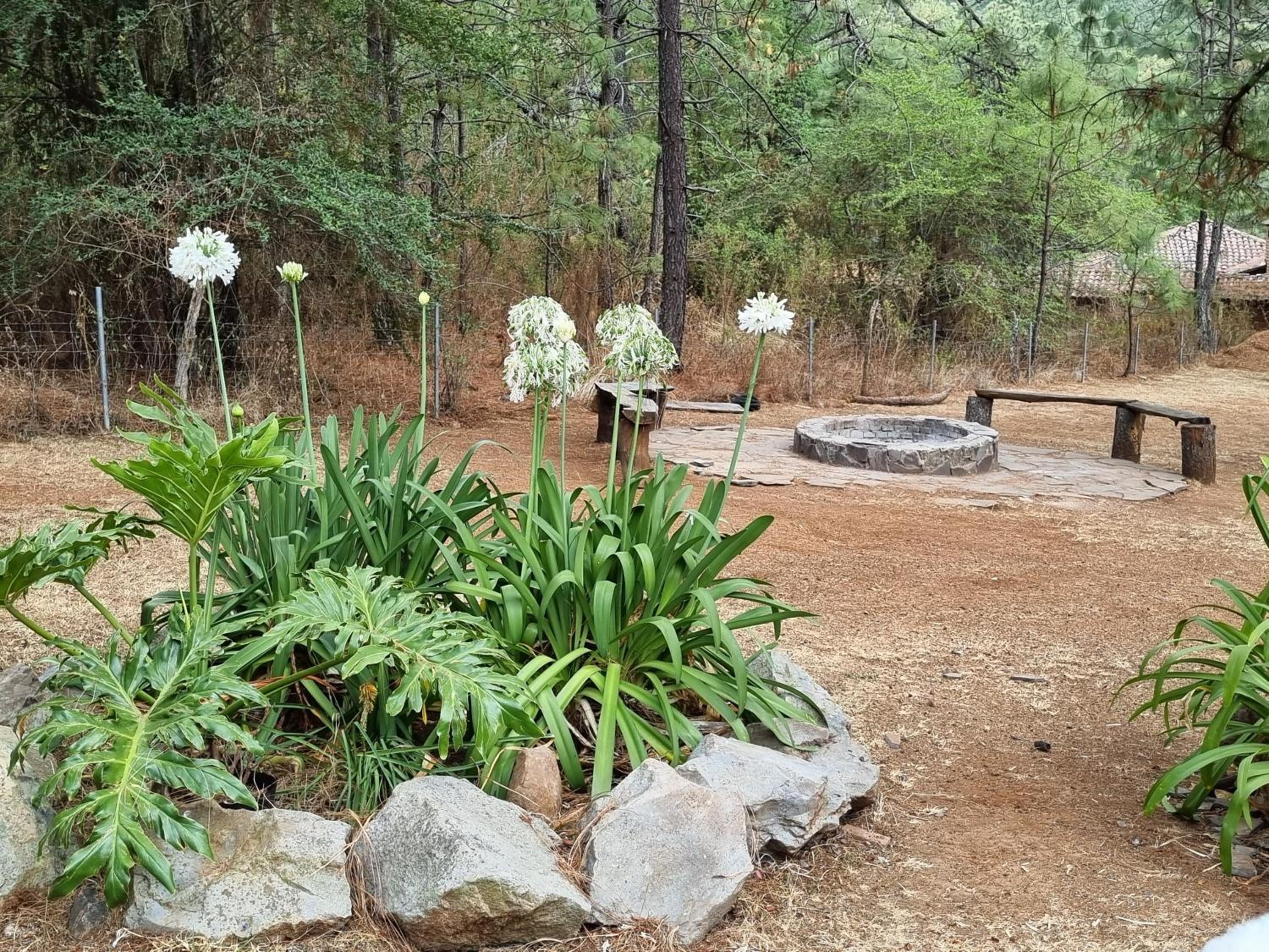 Cabaña en el bosque de Tapalpa view 2