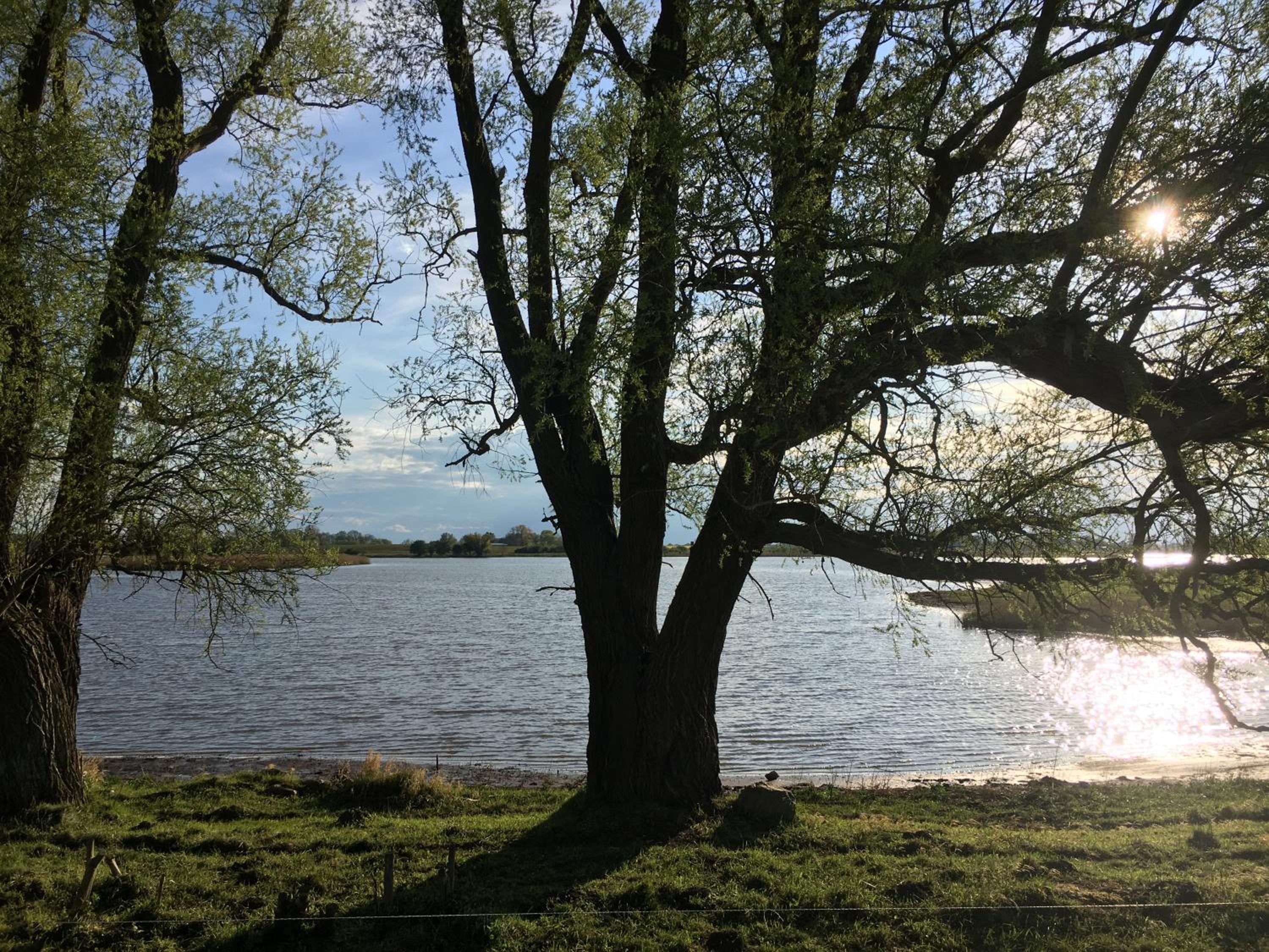 MeerZeit mit Sauna und Seeblick