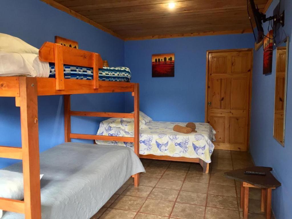 Manakin Lodge, Monteverde view 5