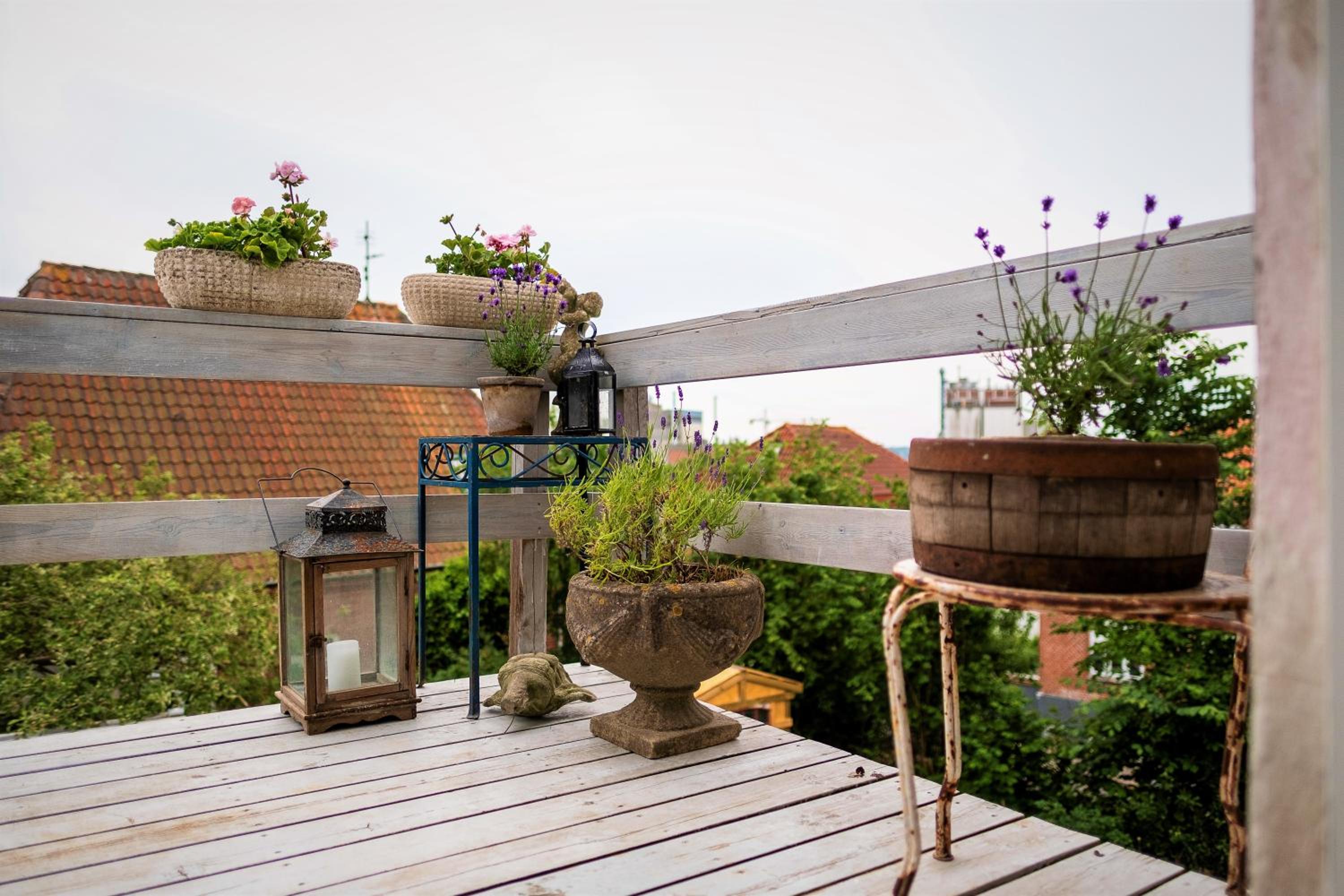 Rosenhøj Bed and Breakfast
