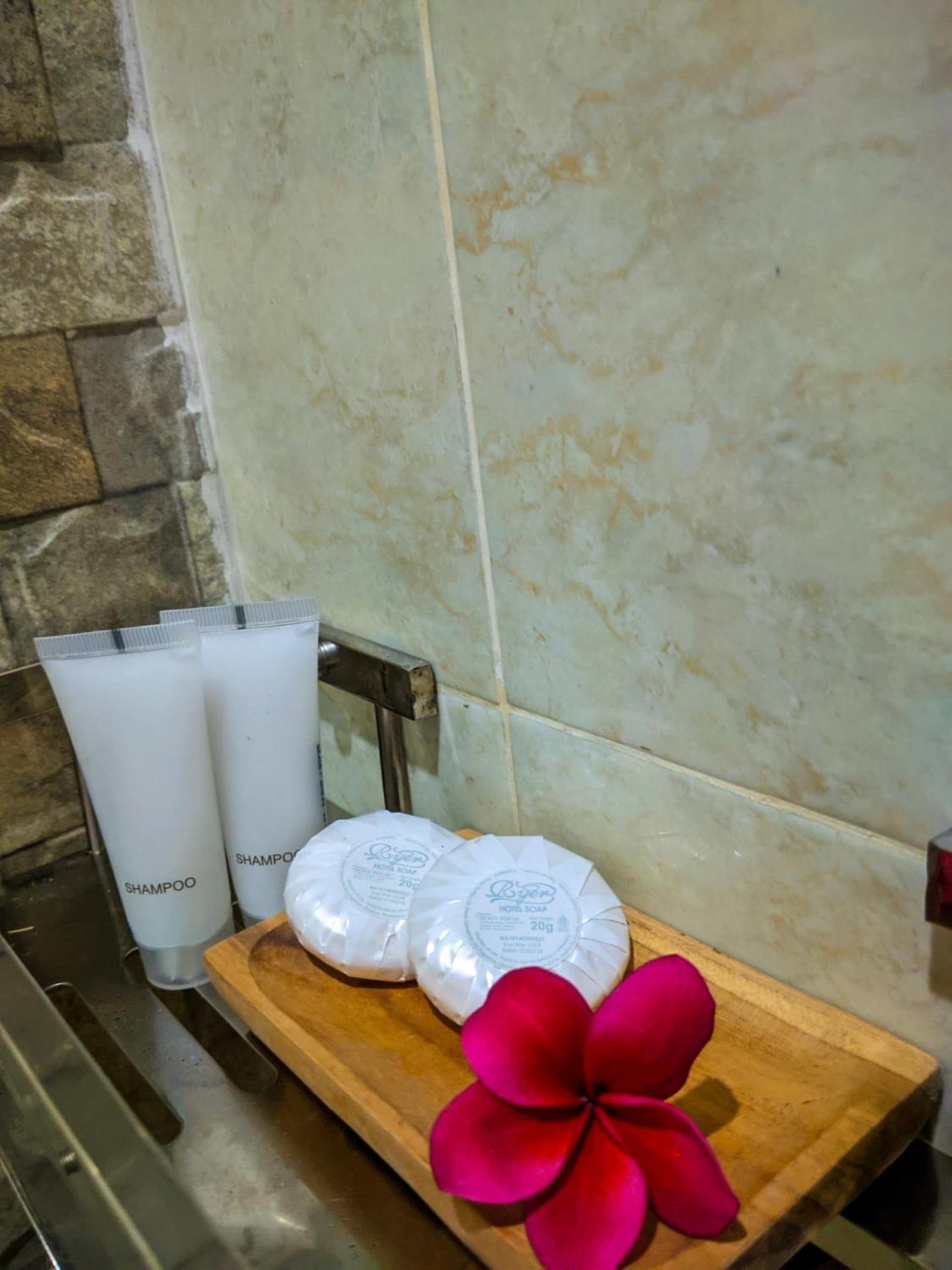 Griya Alit Guest House view 2