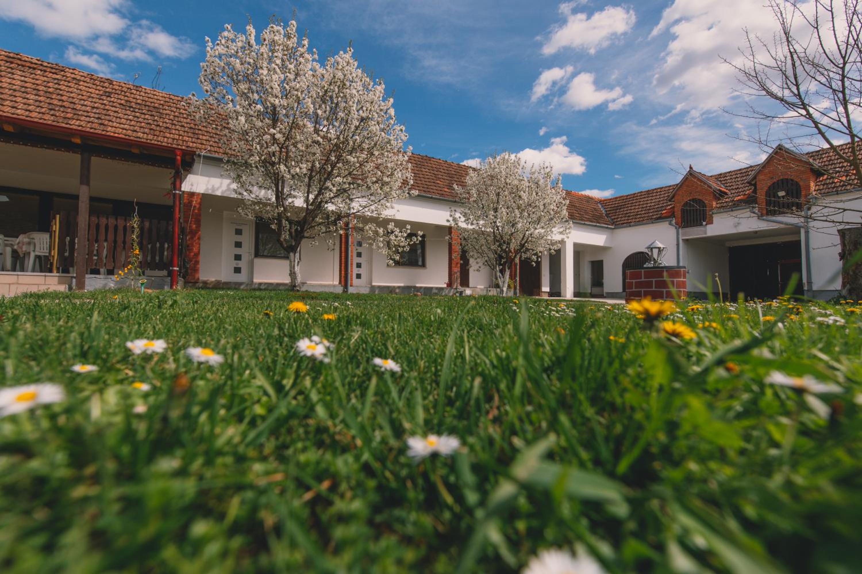 Apartman Marta i soba Maja