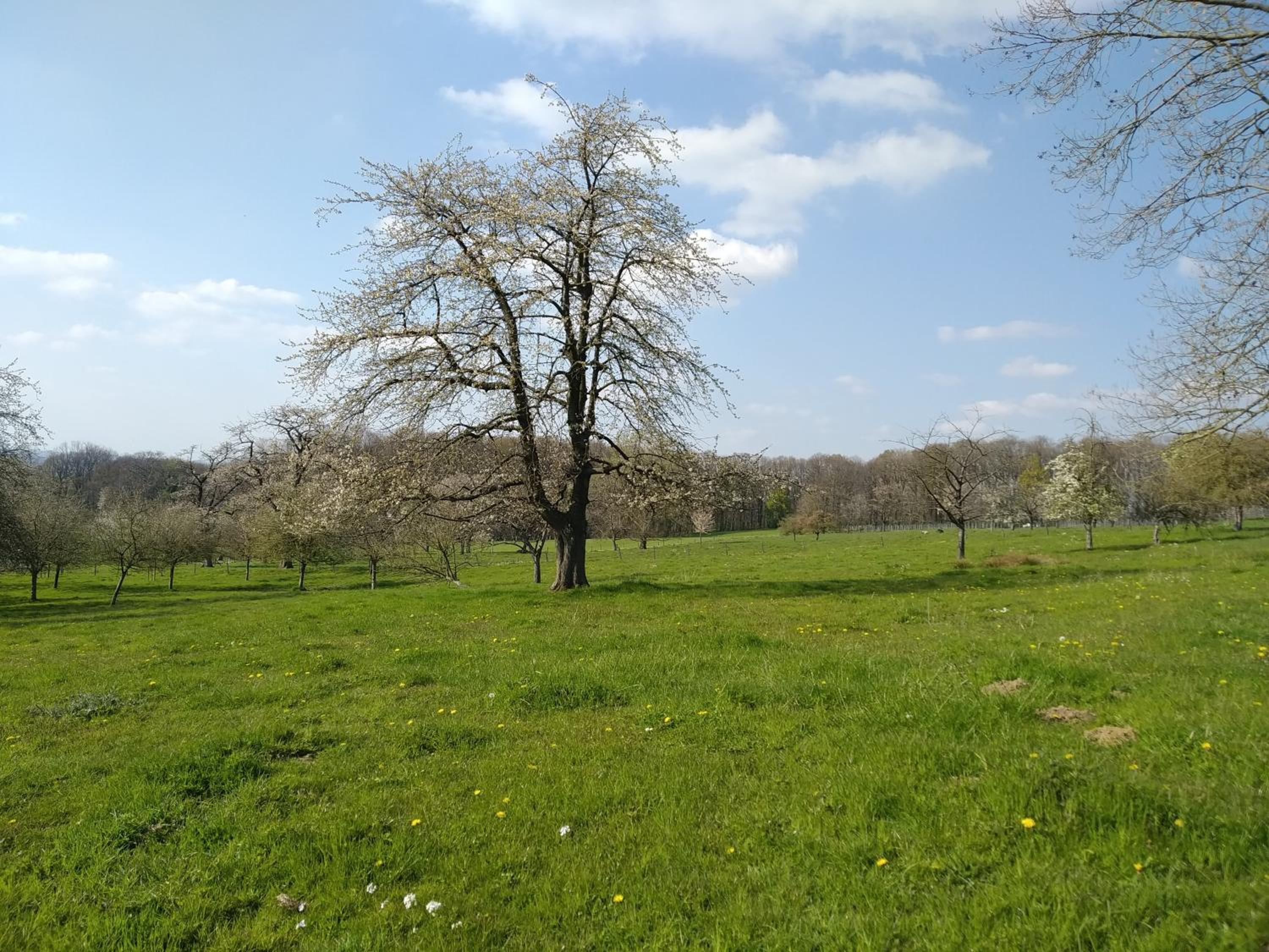 Vakantiewoning De Woestijn - De Schuur