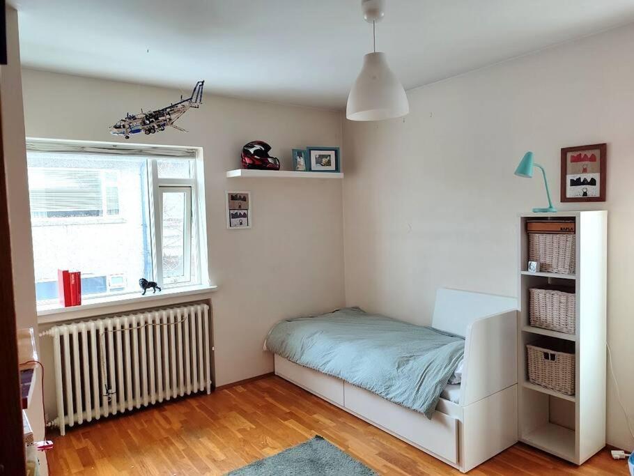 Bright 2 Bedroom Apartment in Reykjavik