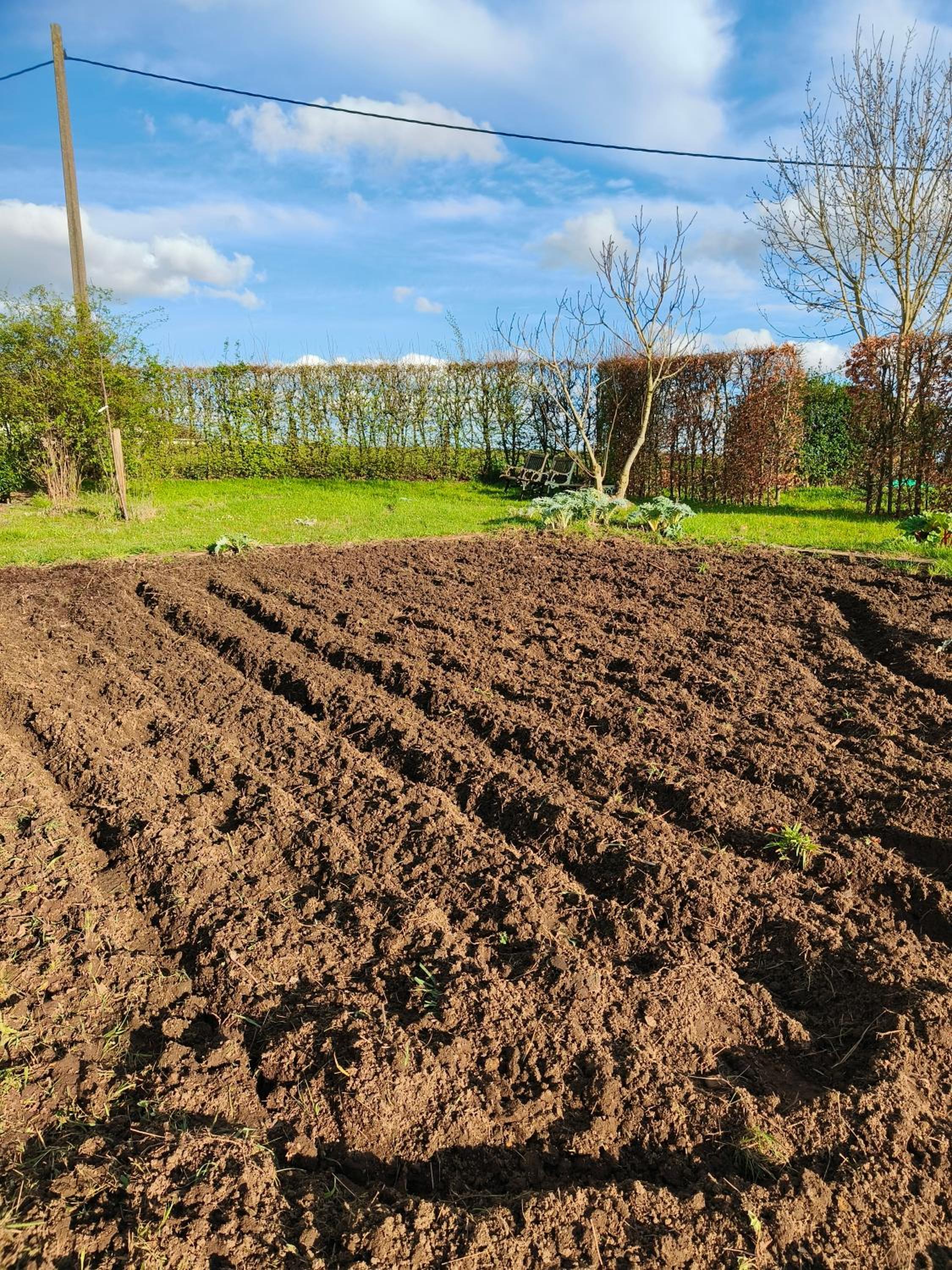 Vakantiewoning De Woestijn - De Schuur