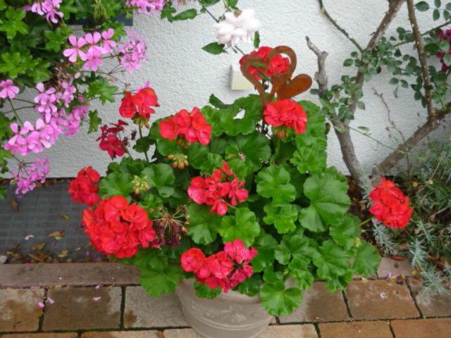 Photo 38