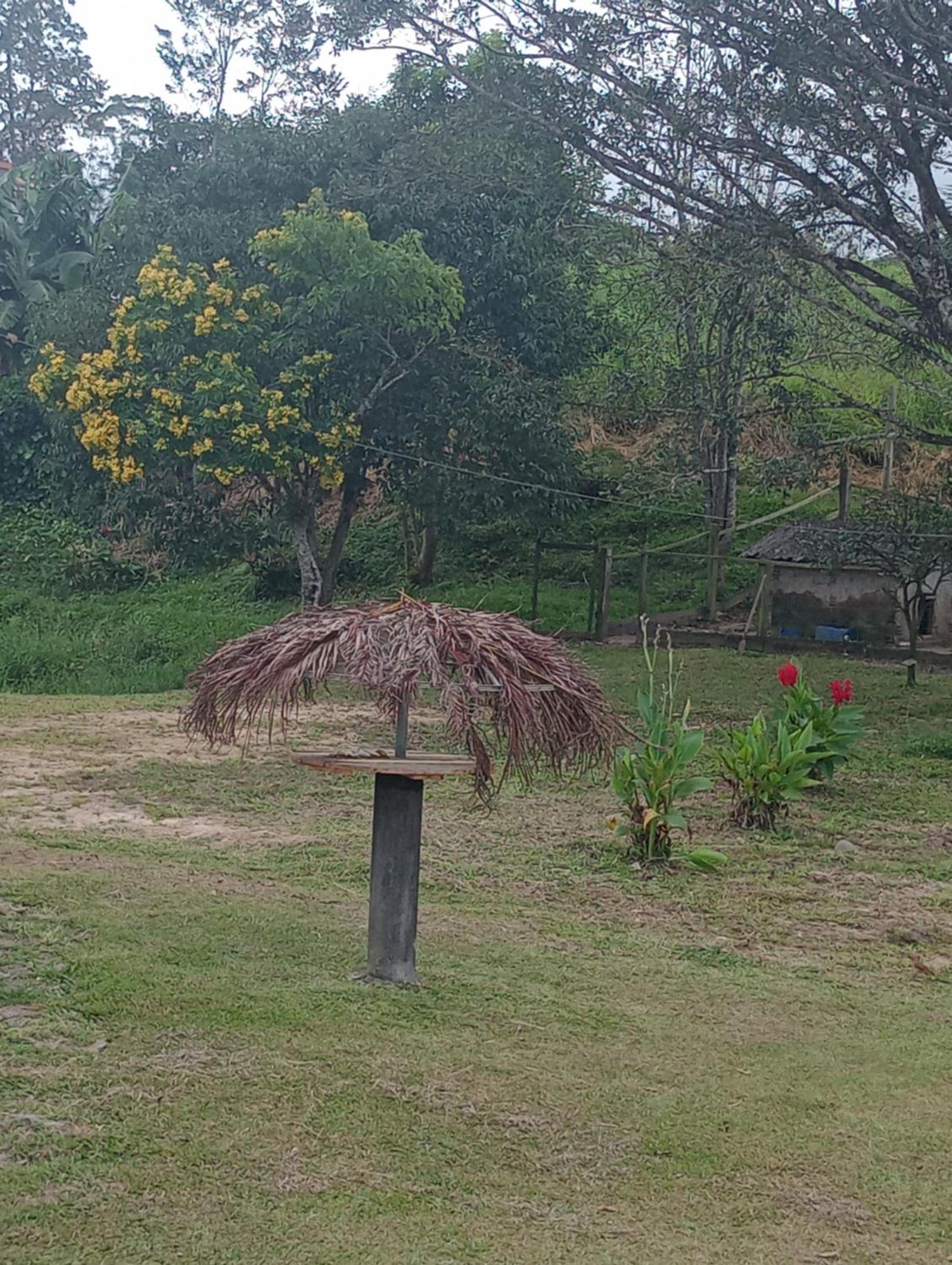 Família Cataneo