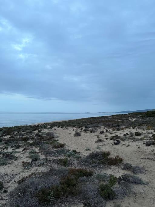 Casa “Mimosa”a pochi passi dal mare con Piscina view 2