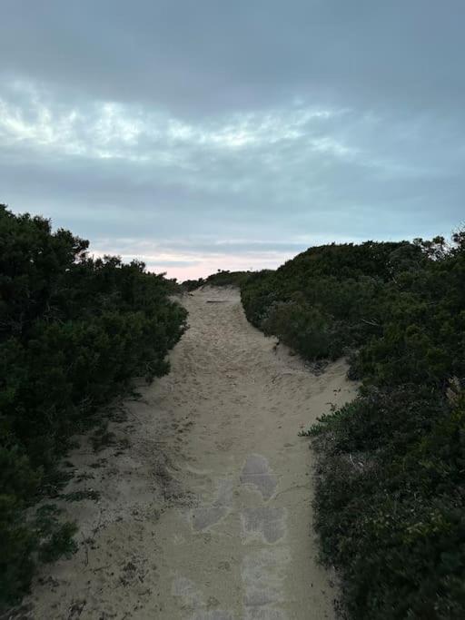 Casa “Mimosa”a pochi passi dal mare con Piscina view 4