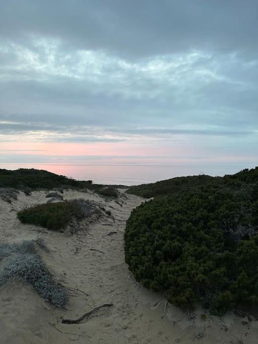 Casa “Mimosa”a pochi passi dal mare con Piscina view 5