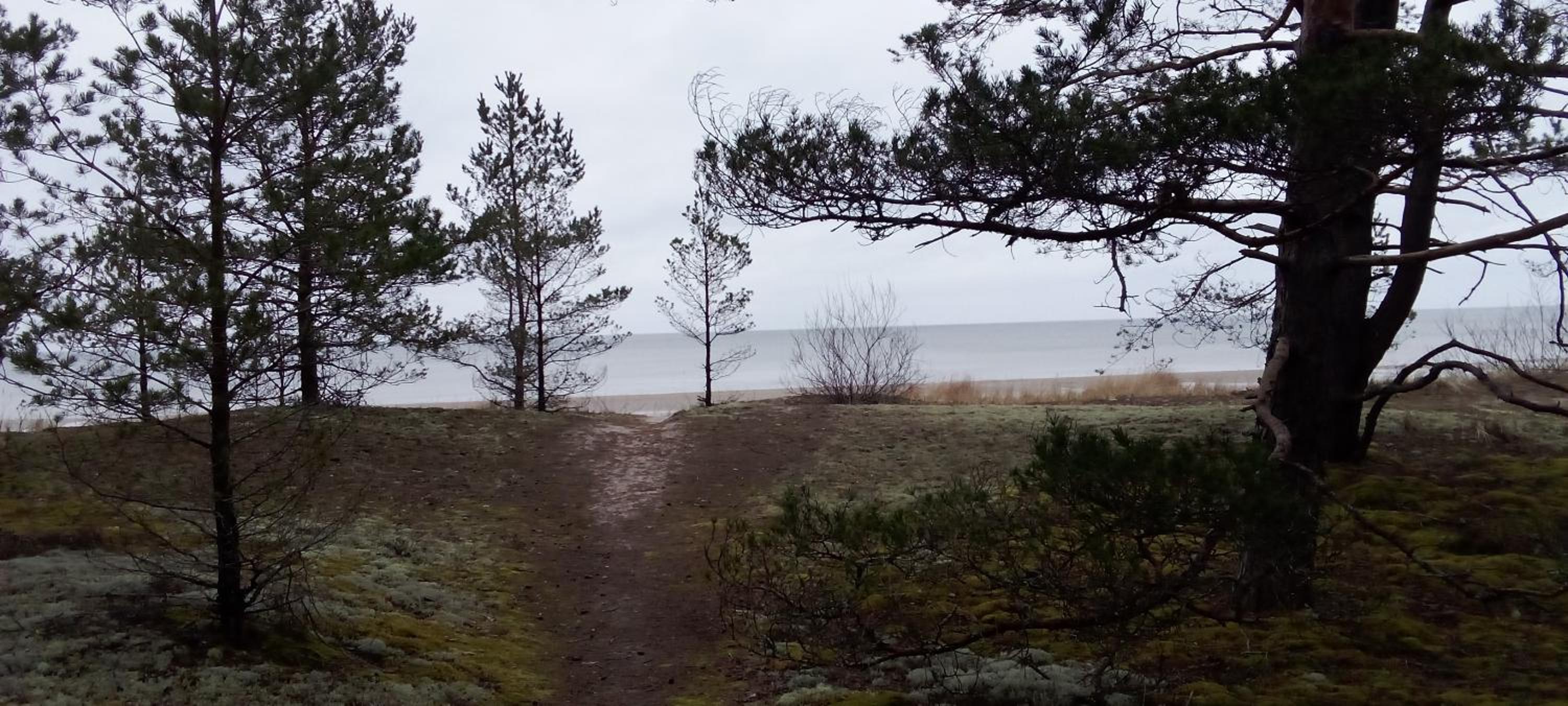 Atpūtas mājiņa ''JŪRASMIERS'' view 2