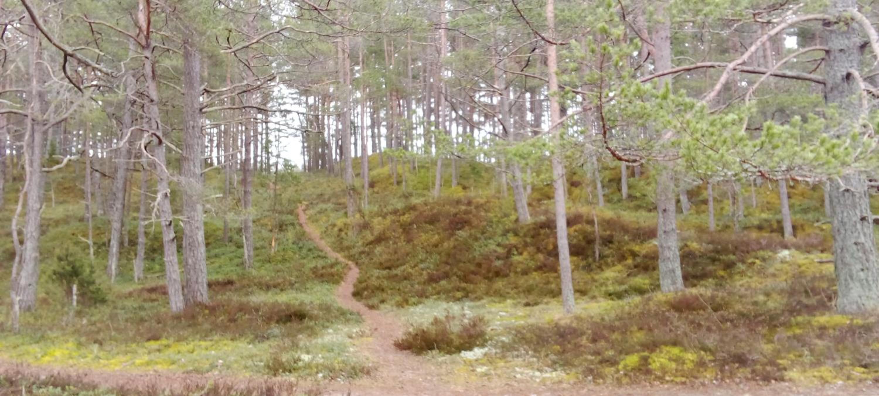 Atpūtas mājiņa ''JŪRASMIERS'' view 5