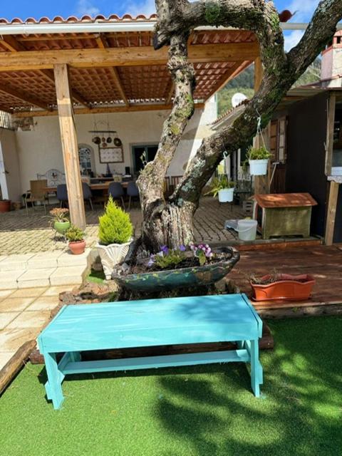 Zion Jardim Monsanto
