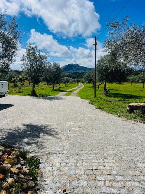 Zion Jardim Monsanto