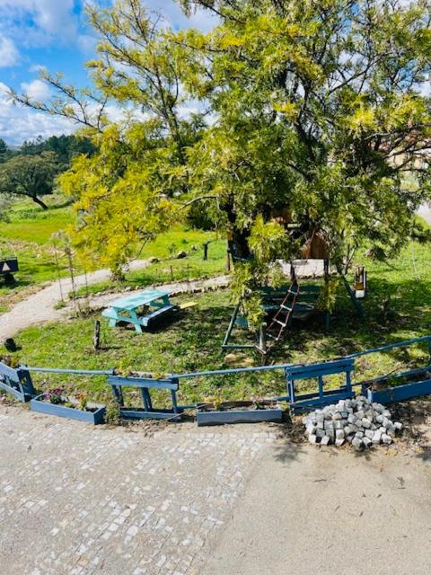 Zion Jardim Monsanto