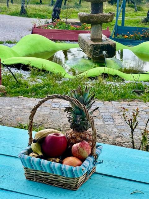 Zion Jardim Monsanto