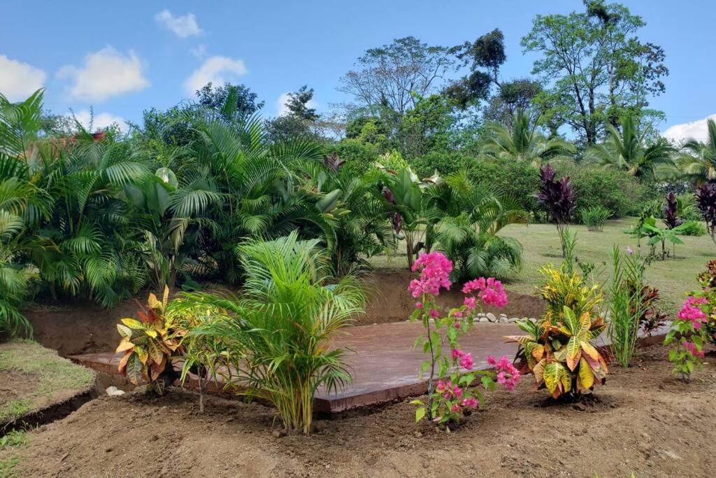 Cabañas Caeli, El Toucan, Peaceful Rainforest Retreat with Stunning Views