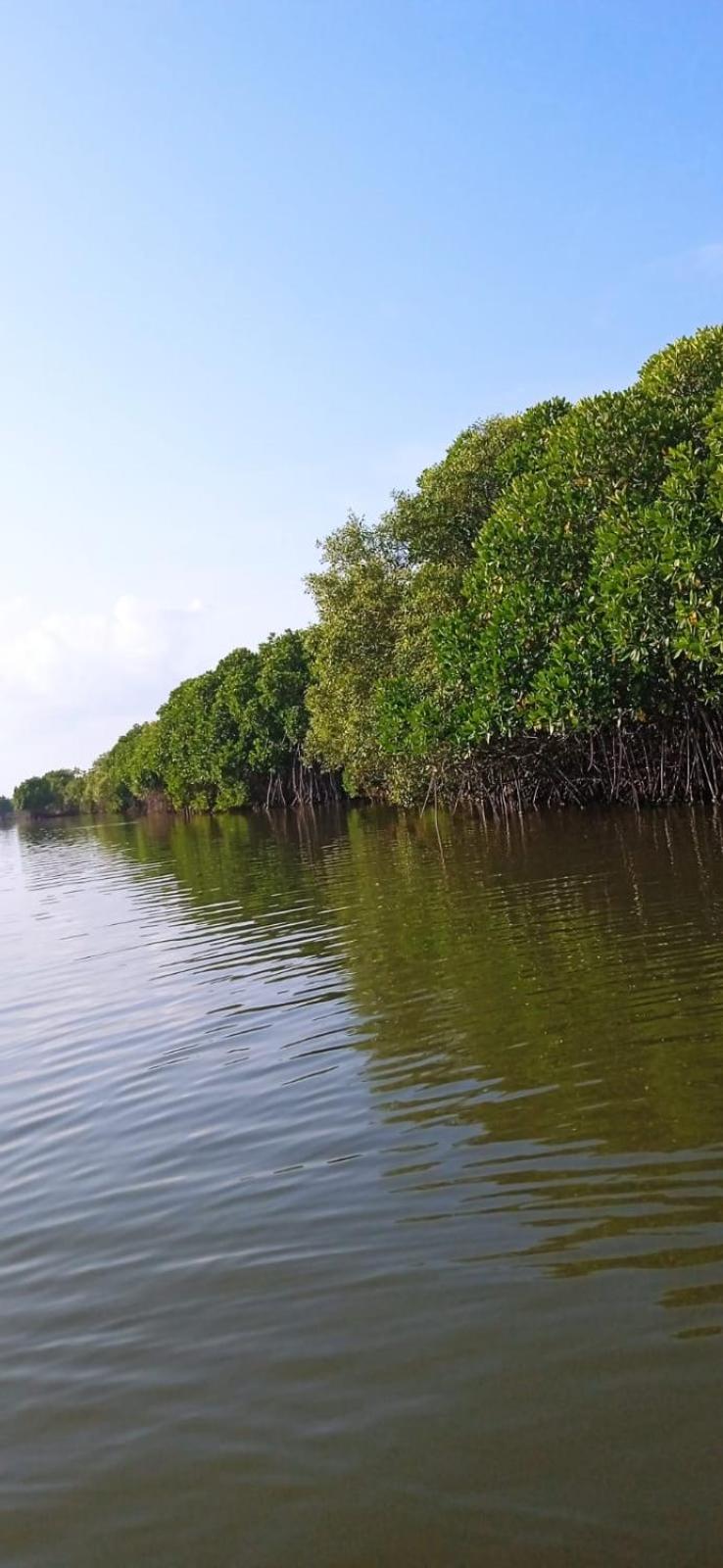 Nilaveli Irakkandy Lagoon Tent Campground