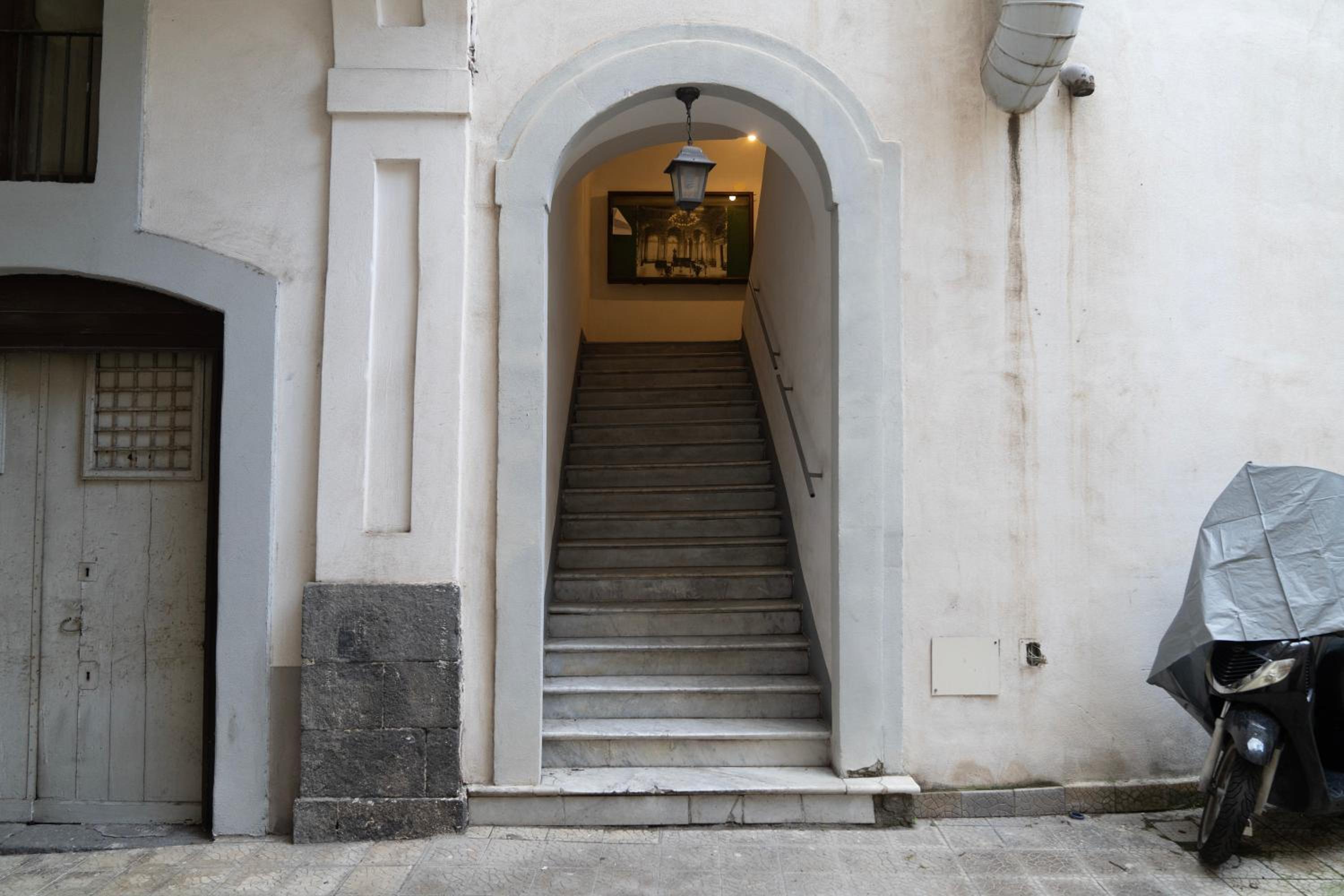 BELLINIKATANESUITE