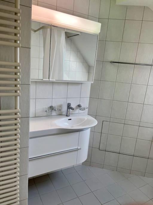 Quiet Attic-Apartment Bern Center