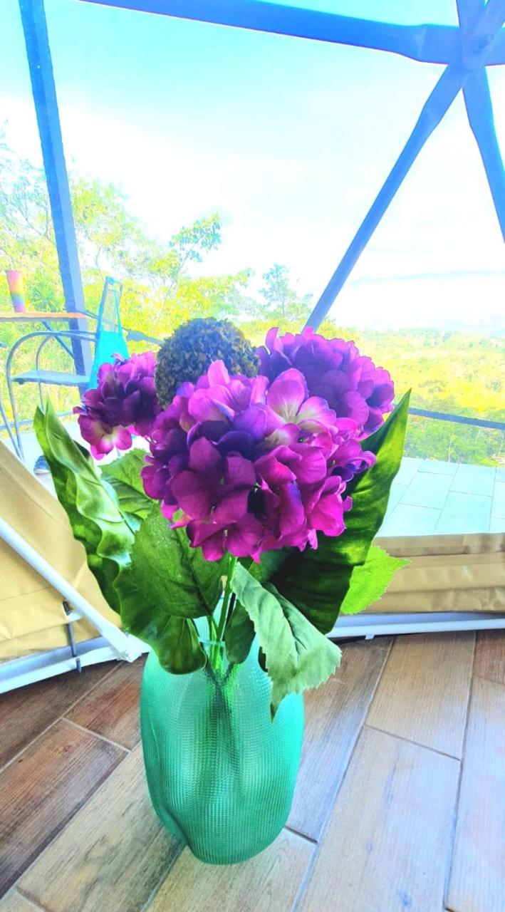 Ararat Eco Farm