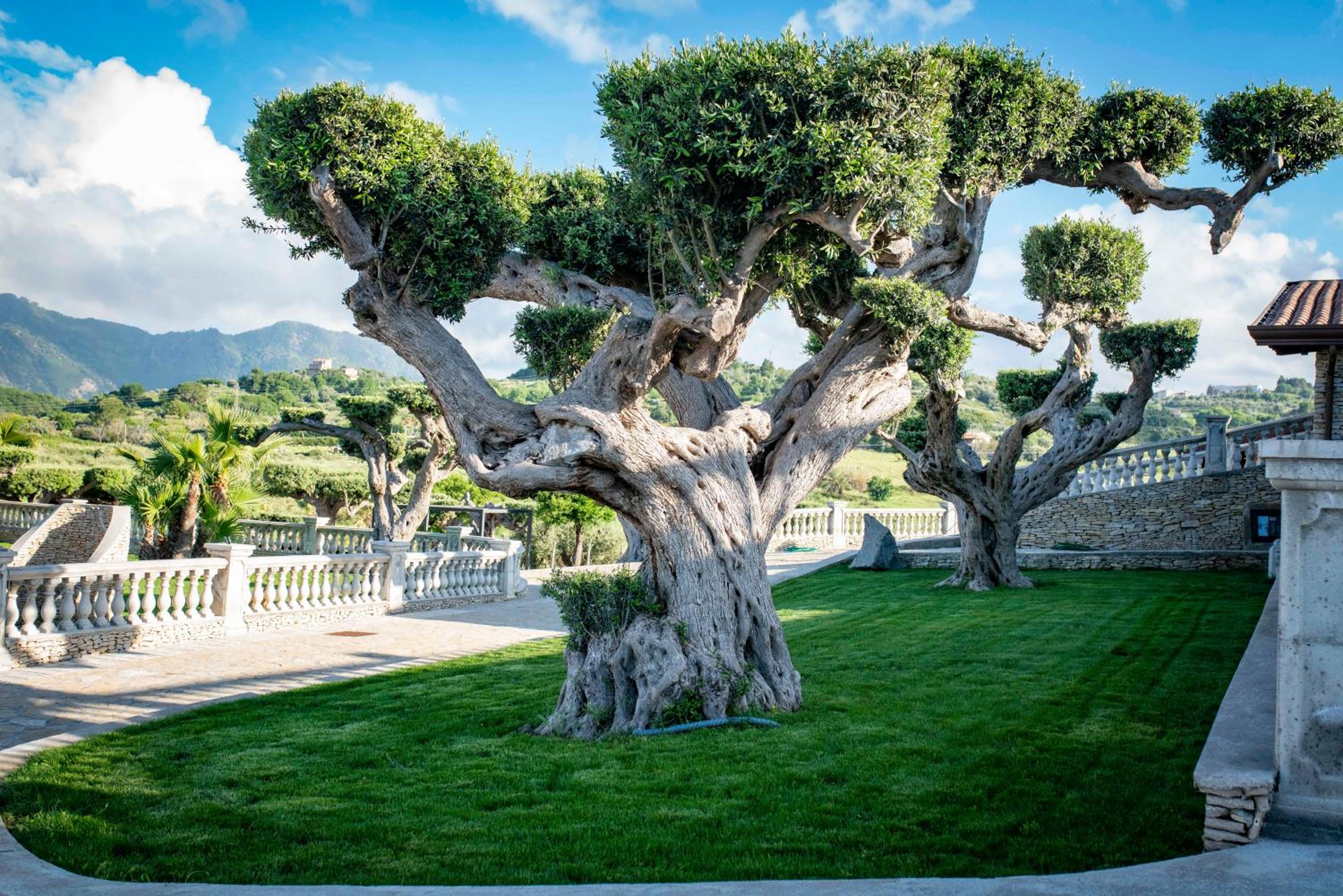 Tenuta Pietravera