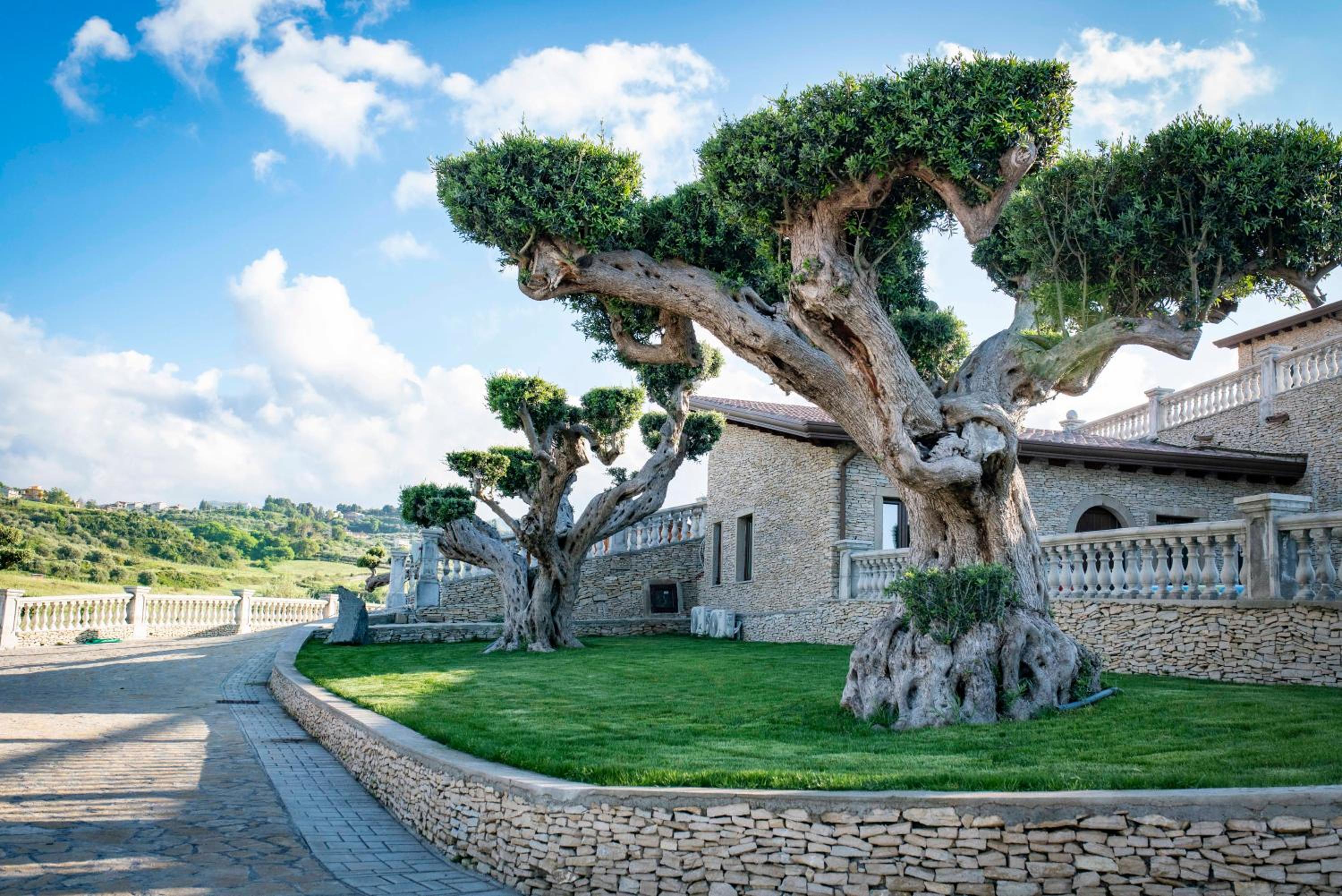 Tenuta Pietravera