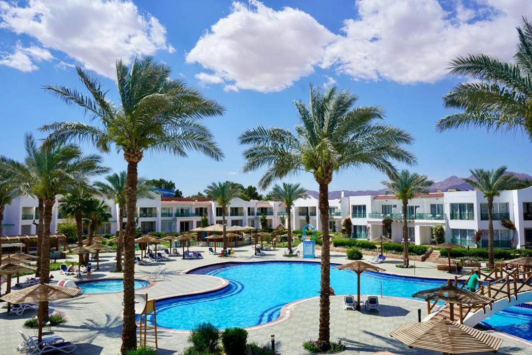 Panorama Naama Heights Aqua Park, photo 84