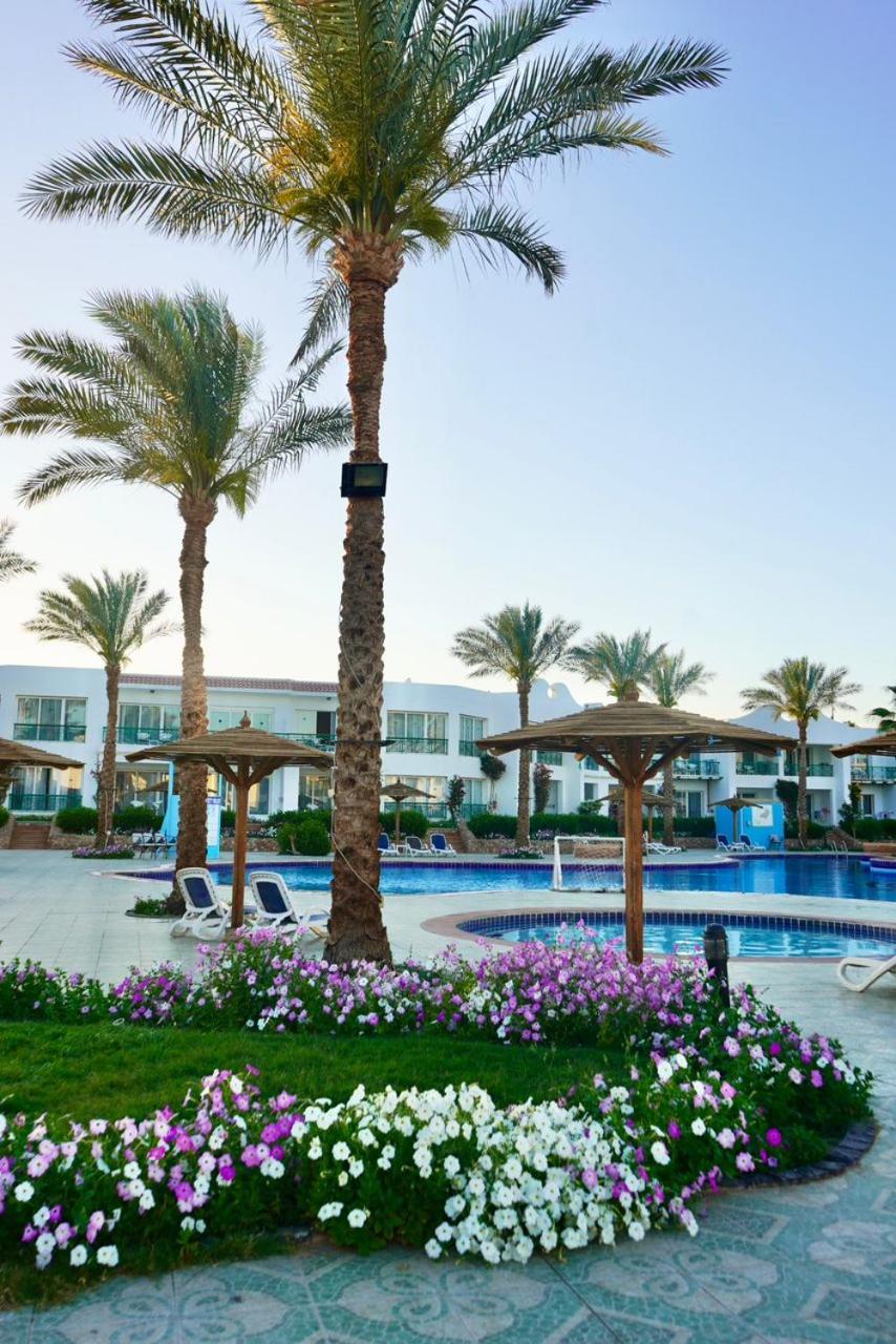 Panorama Naama Heights Aqua Park, photo 73