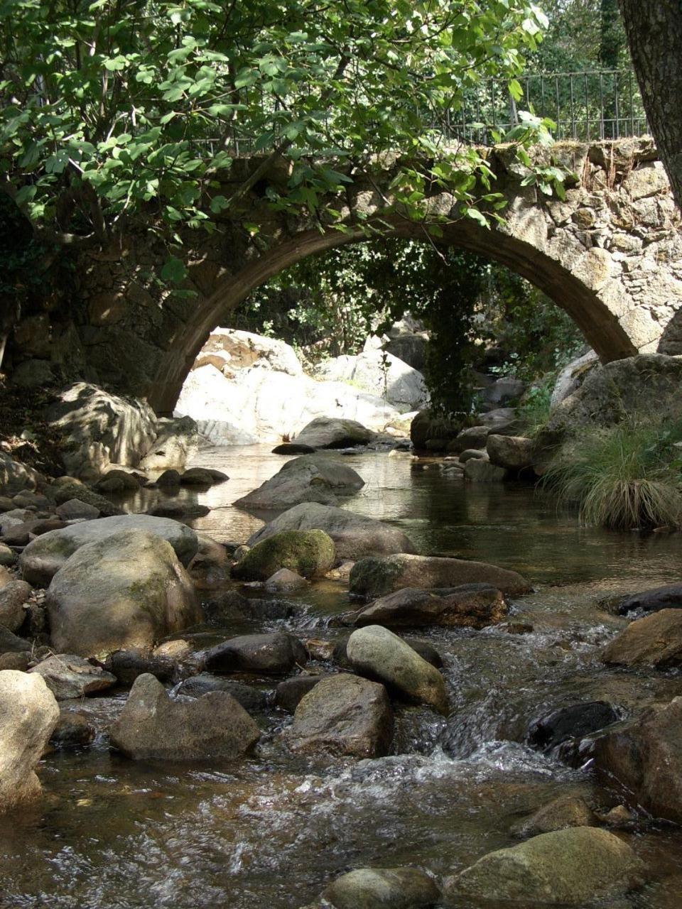 Casas Rurales La Dehesa