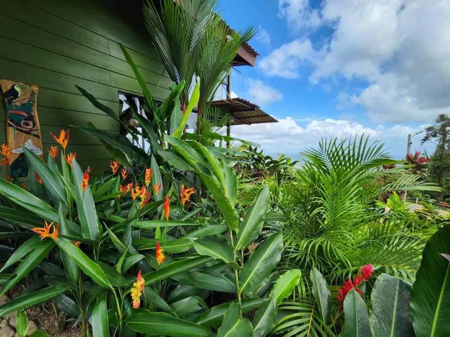 Cabañas Caeli, La Perezosa, La Fortuna Rainforest Glass Cabin w Amazing Views