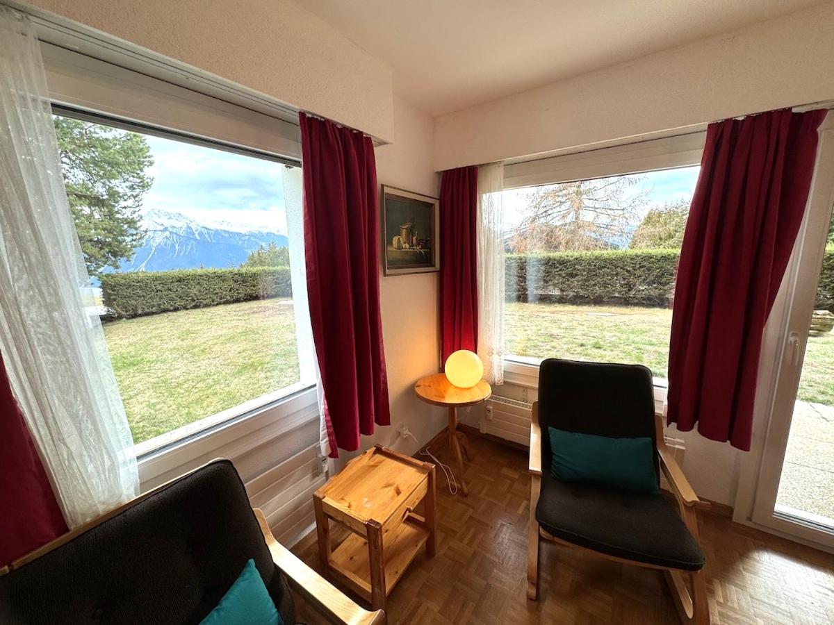 Arnica 20 view 5
