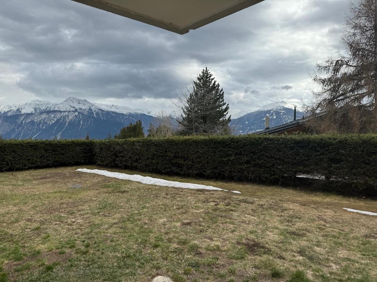 Photo 6